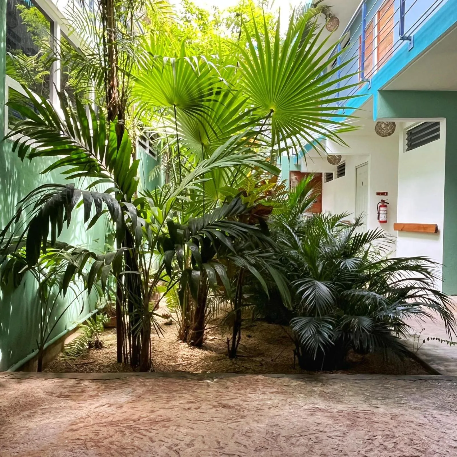 Garden in Gran Jaguar Hotel