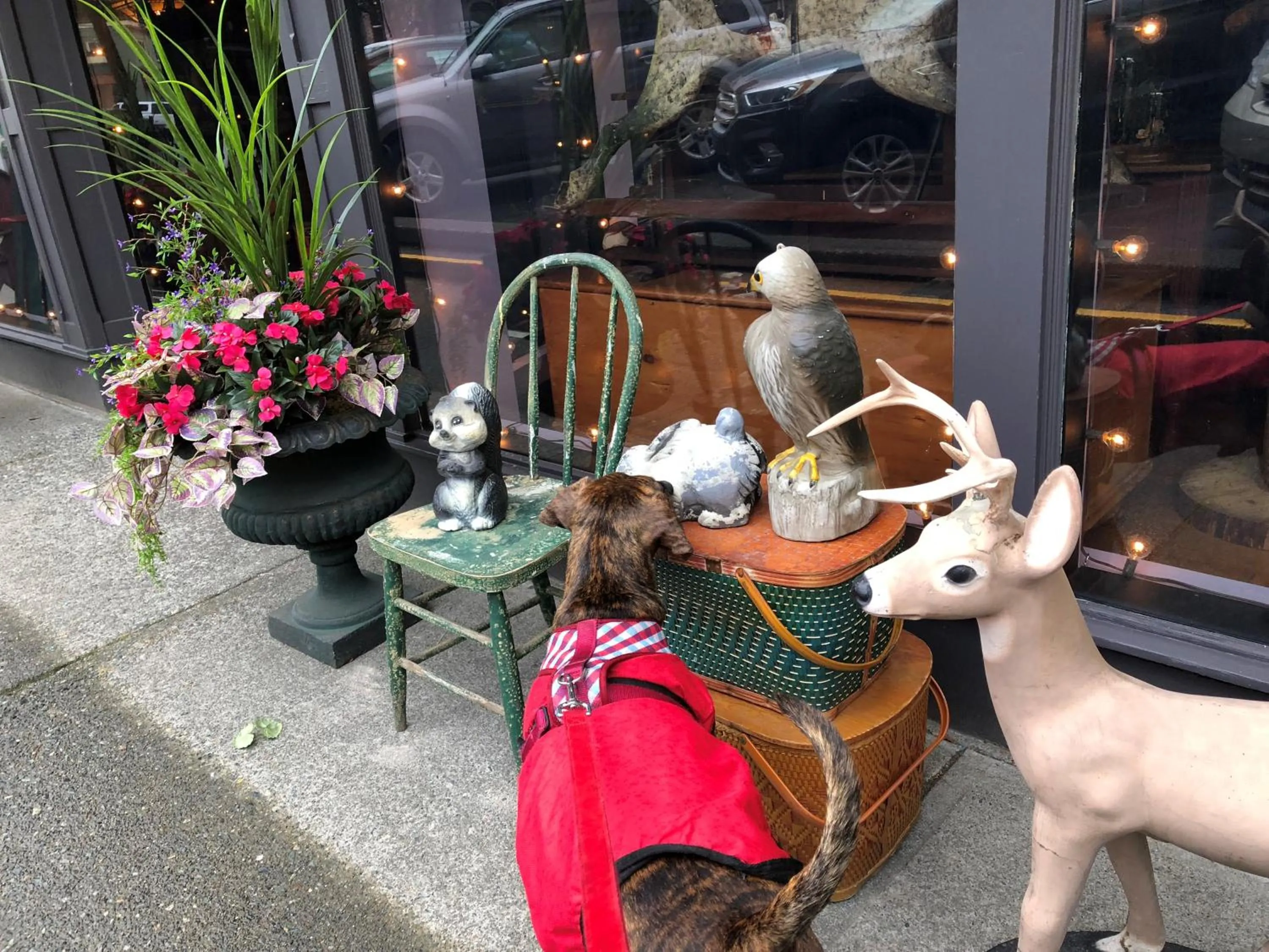 City view in Holiday House Motel