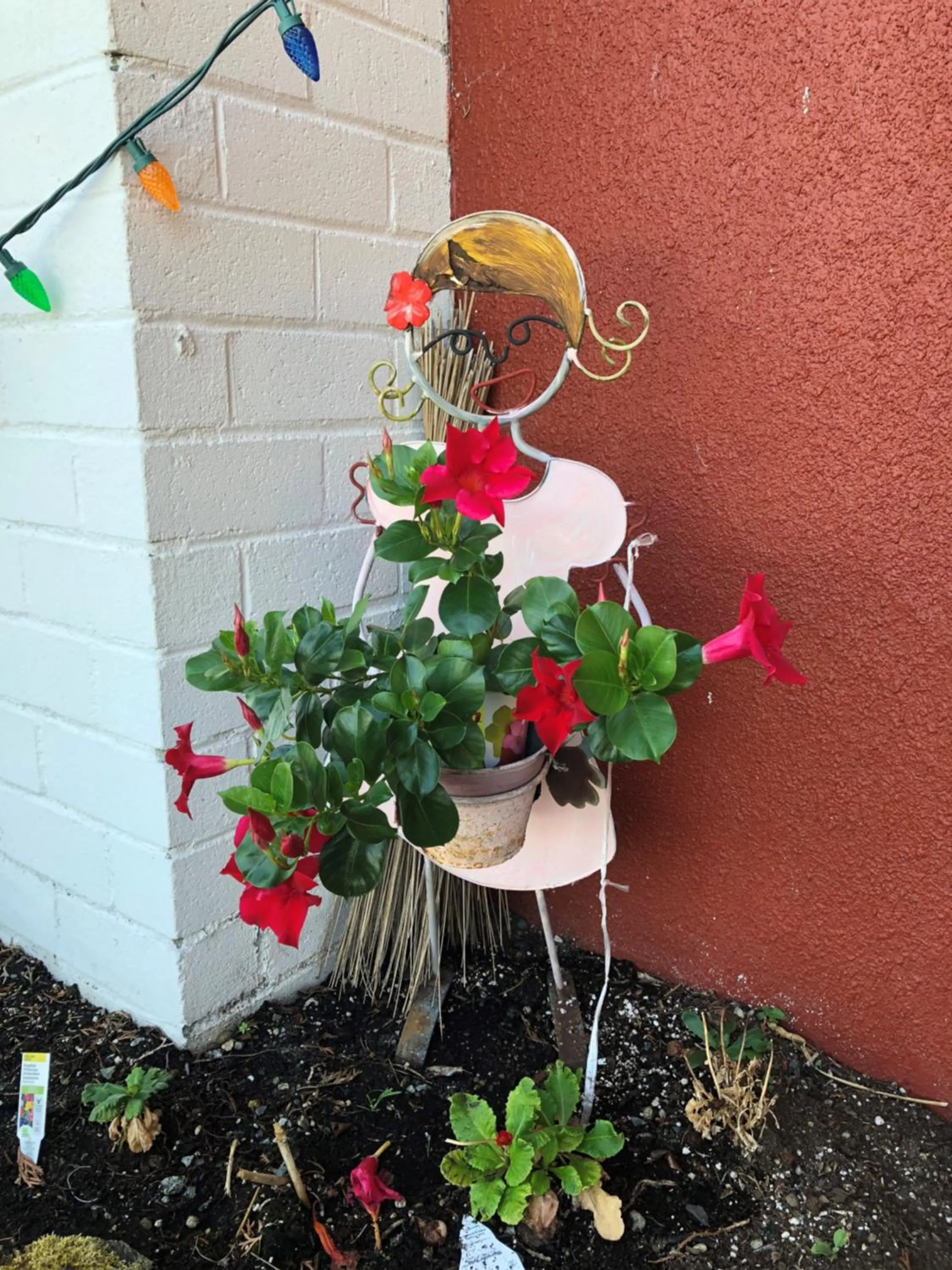 Garden view in Holiday House Motel