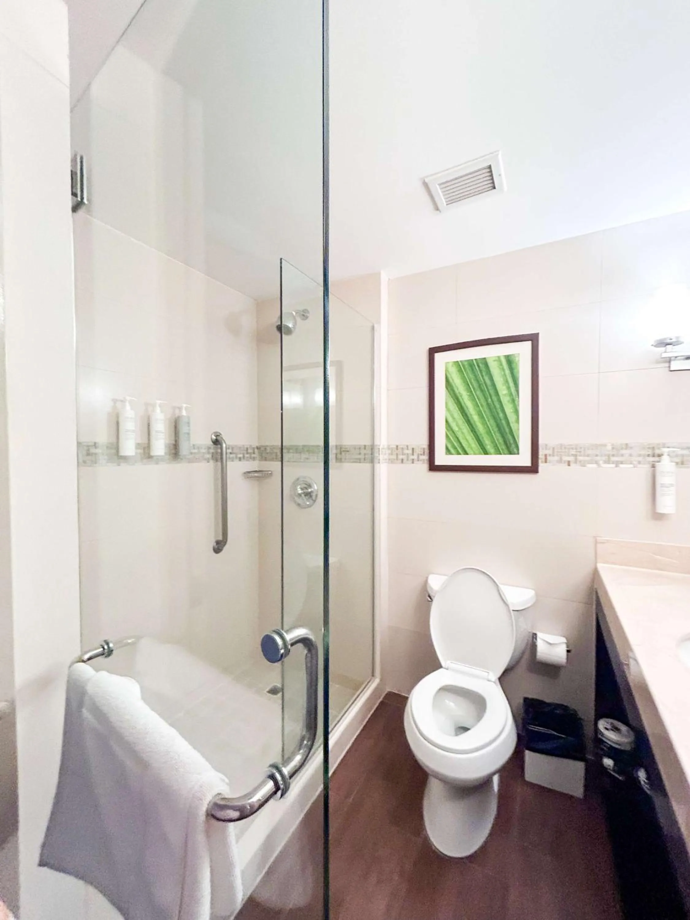 Bathroom in Hilton Garden Inn Panama City Downtown, Panama