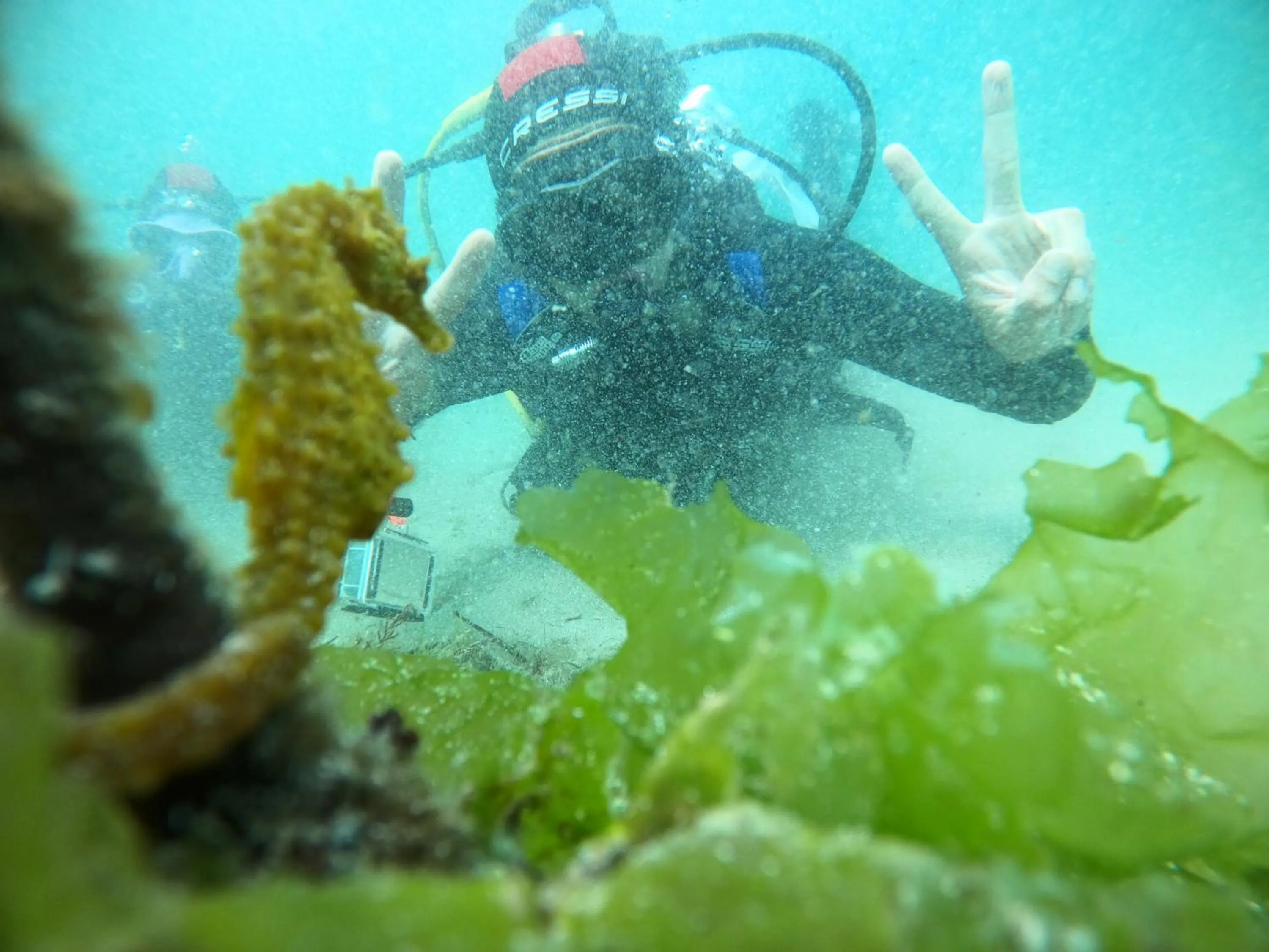 Diving in Apartamentos Ria de Aldan