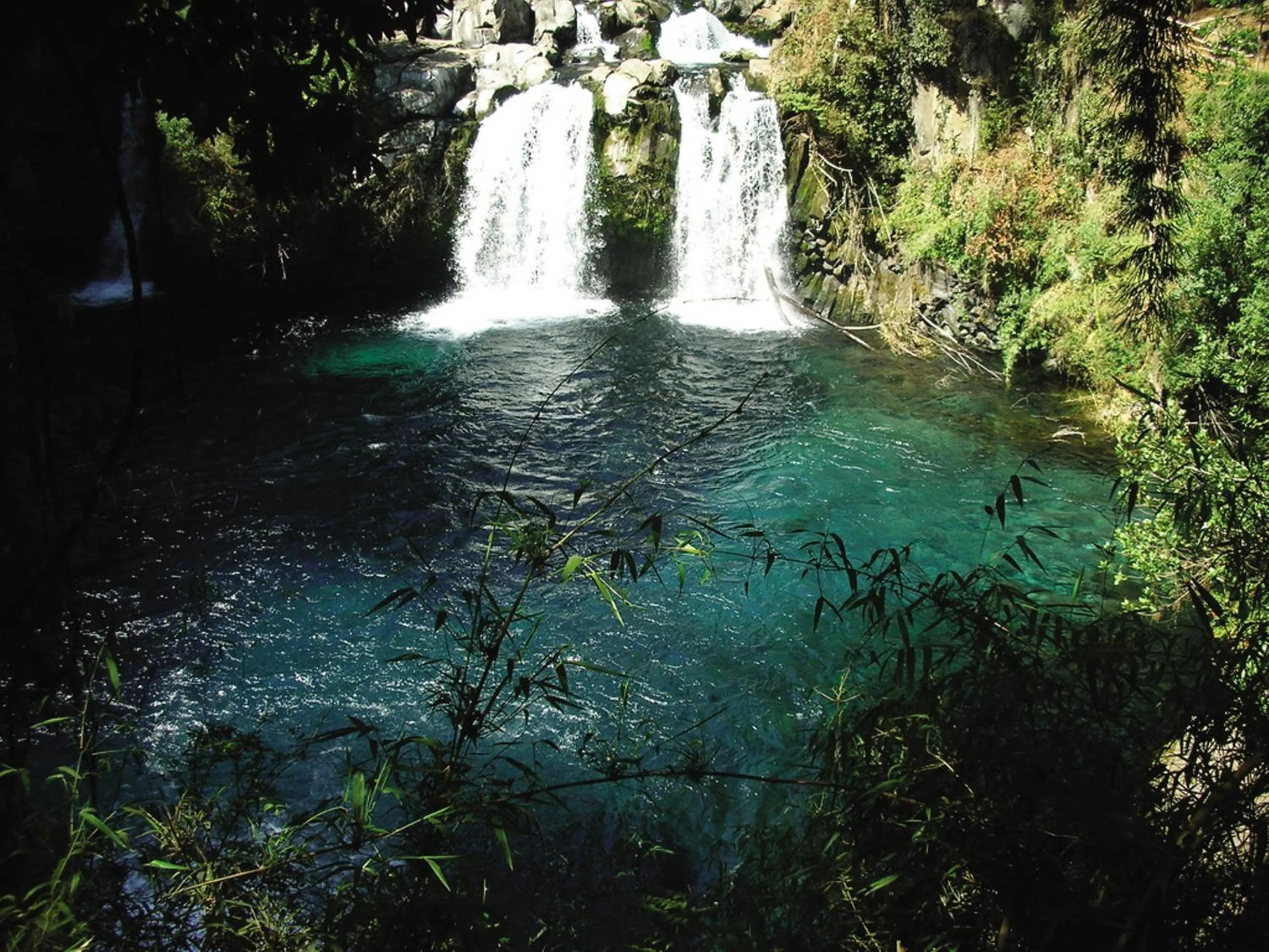 Area and facilities in Hotel Pucon Green Park