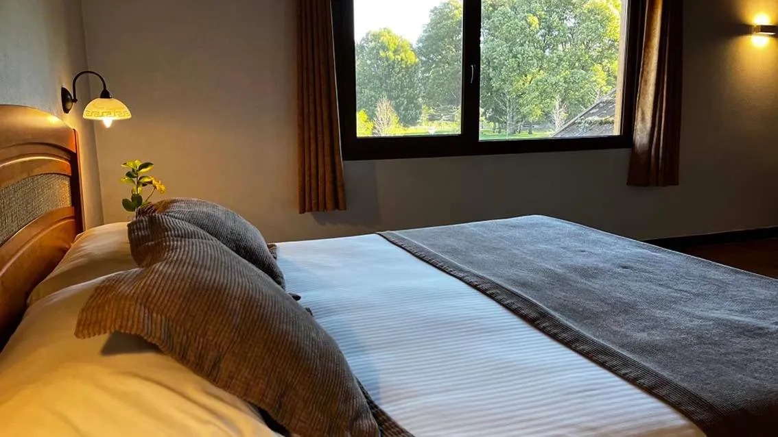 Bed in Hotel Pucon Green Park