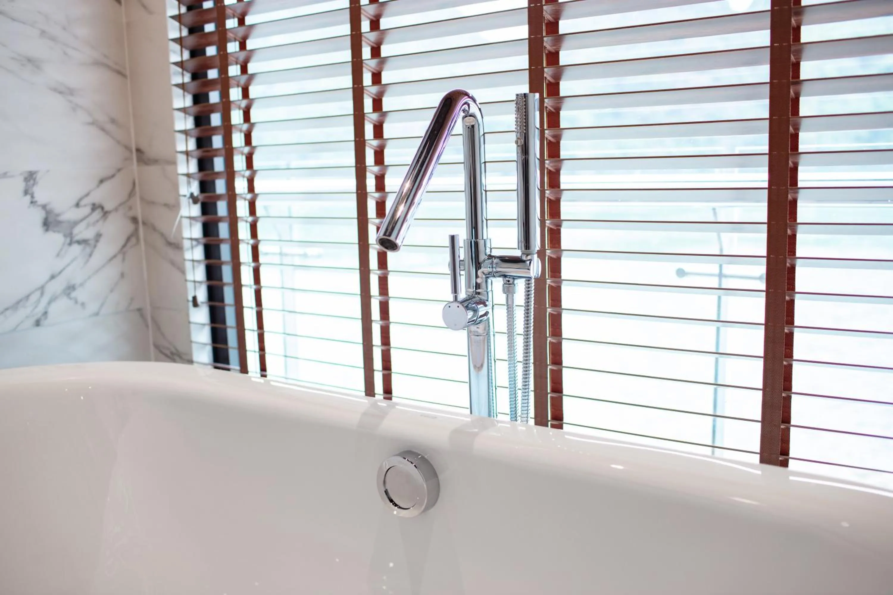 Stellar of the Seas Cruise