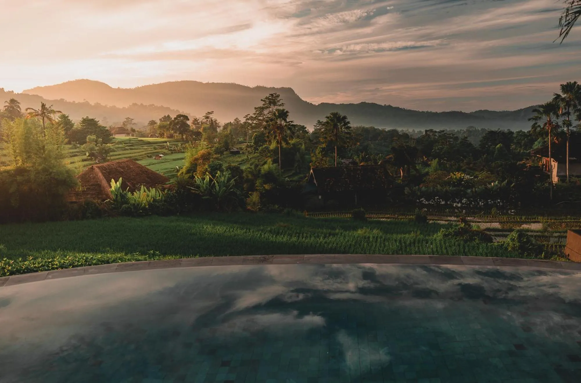 Pool view in Samanvaya - Adults Only