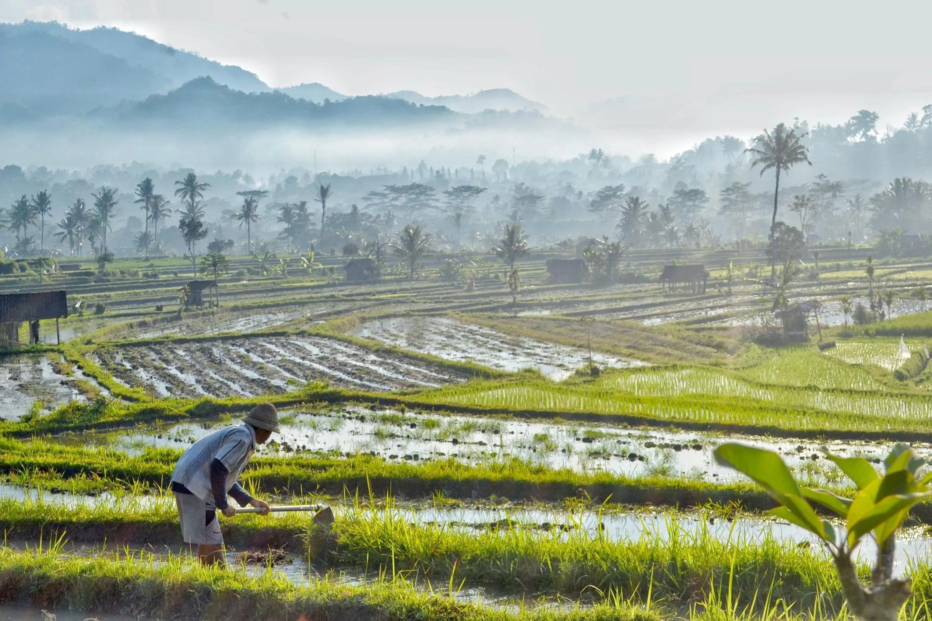 Activities in Samanvaya - Adults Only