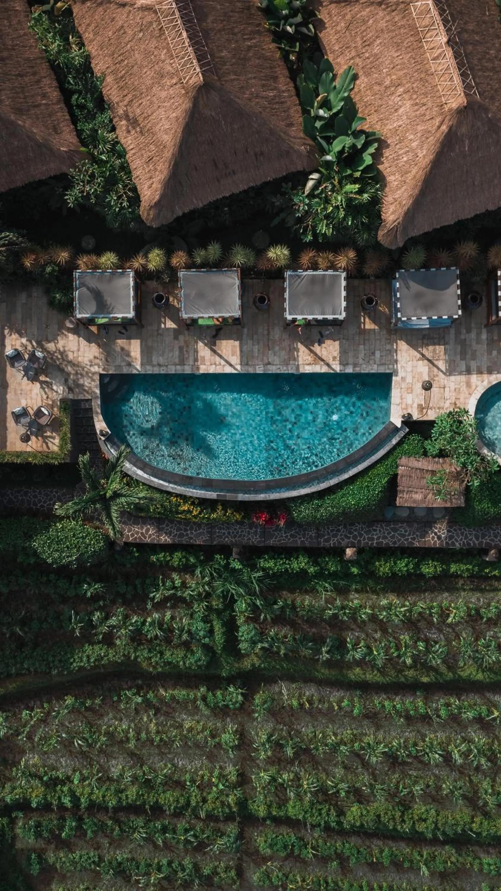 Swimming pool in Samanvaya - Adults Only