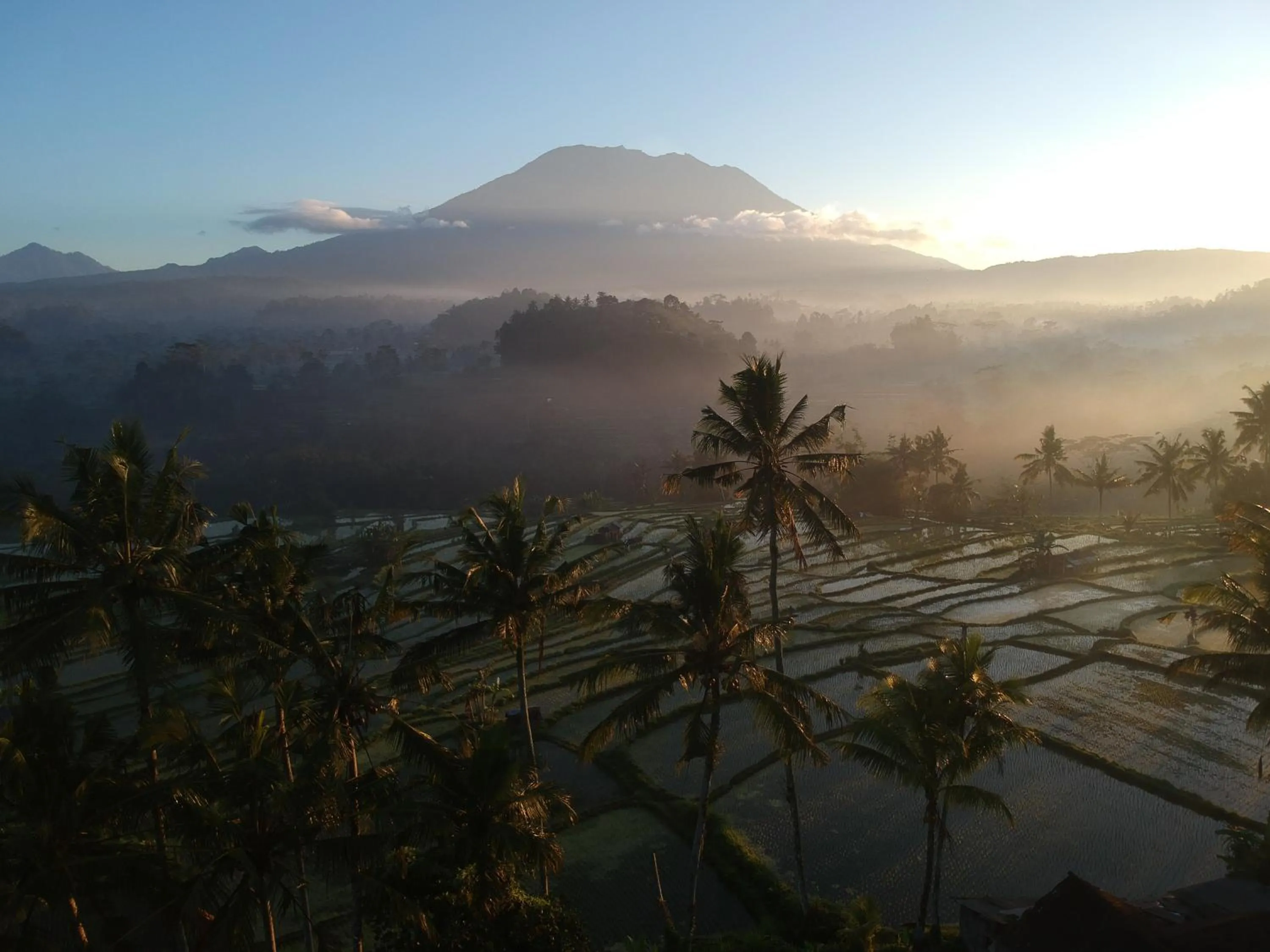 Area and facilities in Samanvaya - Adults Only