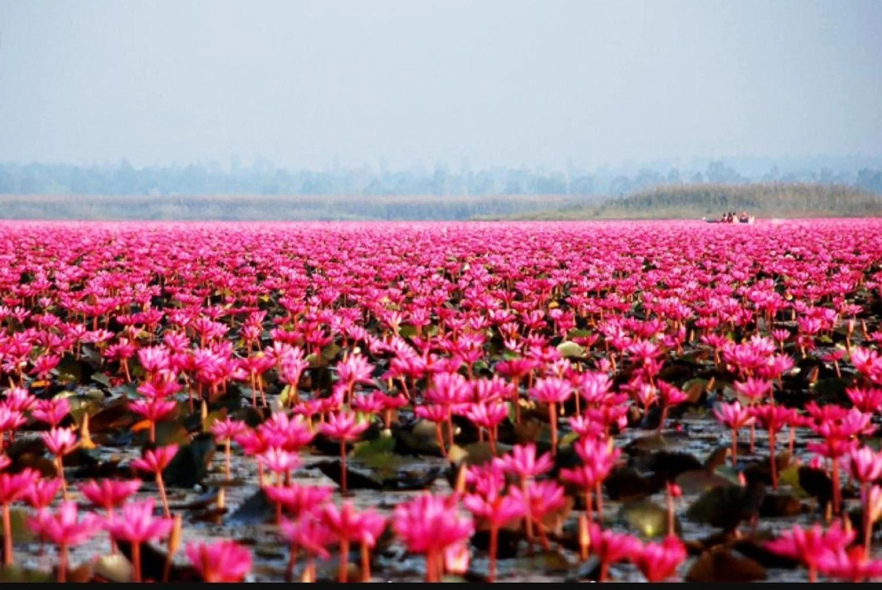 Nearby landmark in Amman Unique Hotel