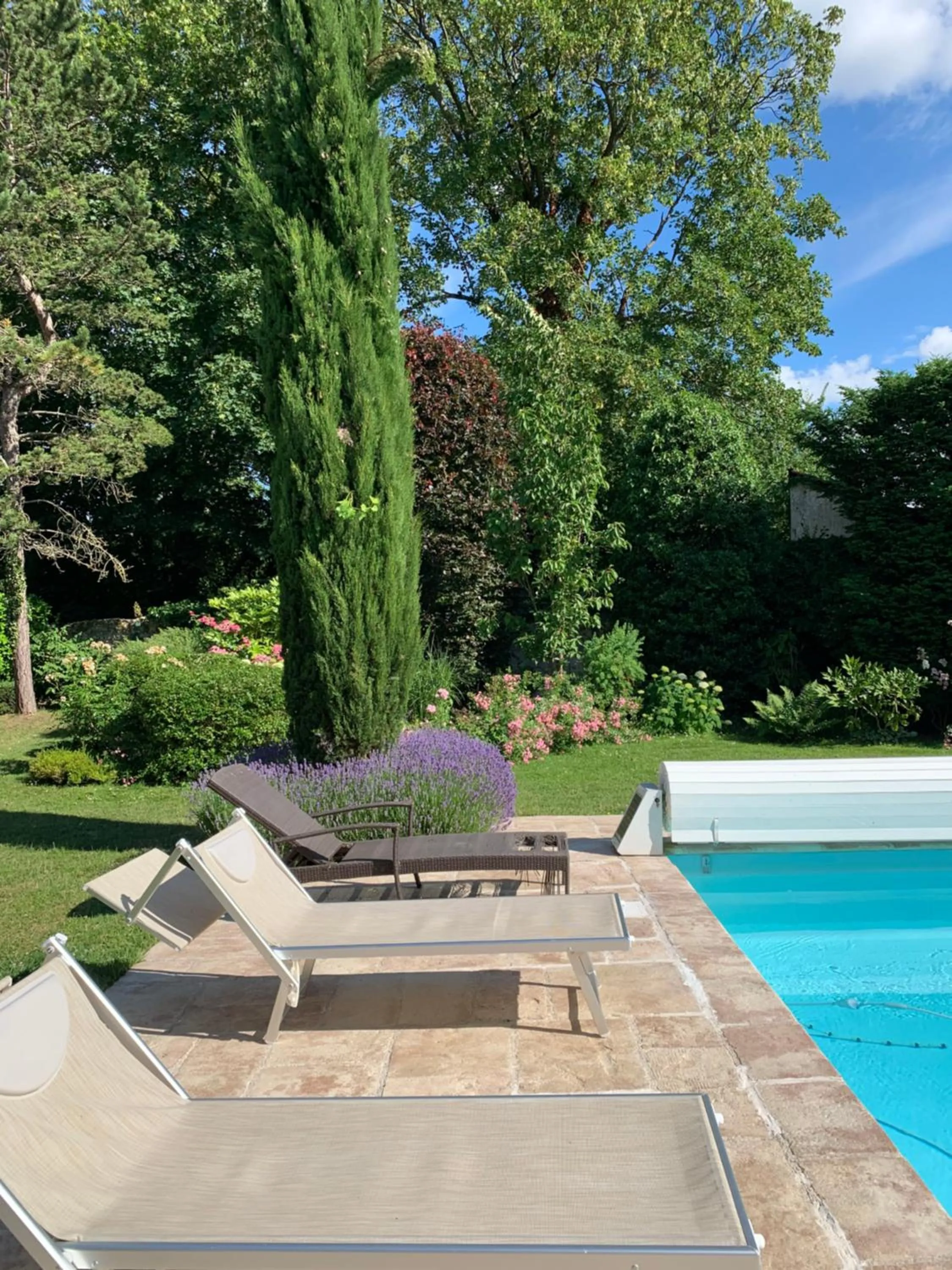 Swimming pool in Maison d'Hôtes Joussaume Latour