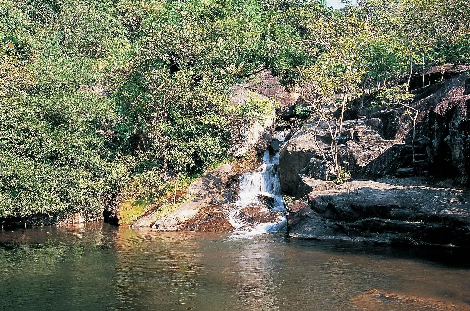 Area and facilities in Tri-Shawa Resort