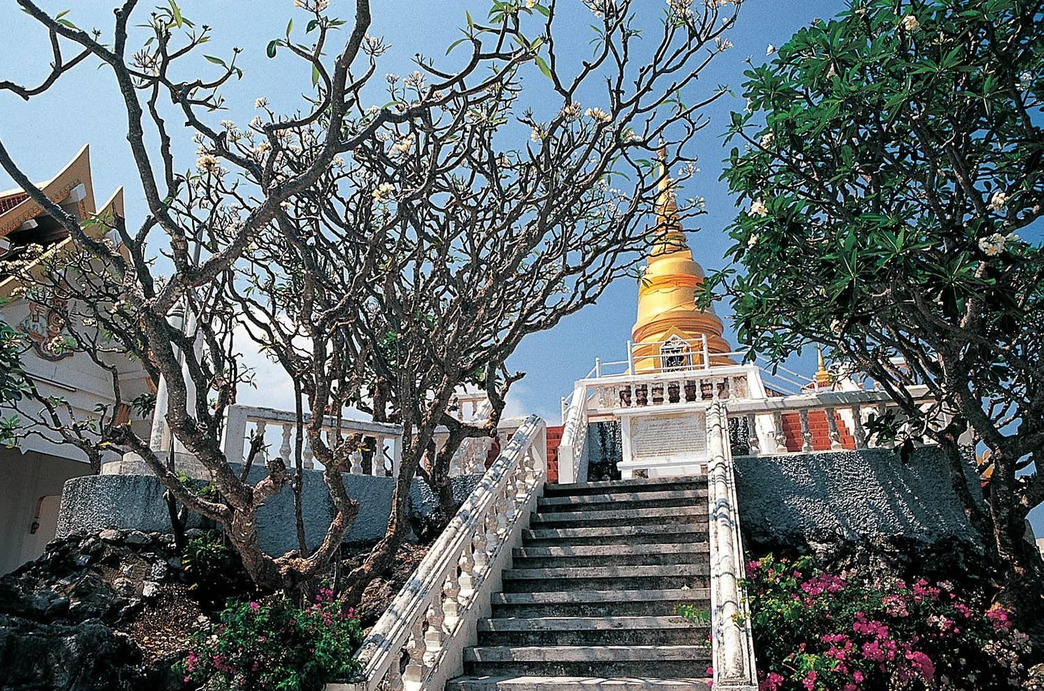 Area and facilities in Tri-Shawa Resort