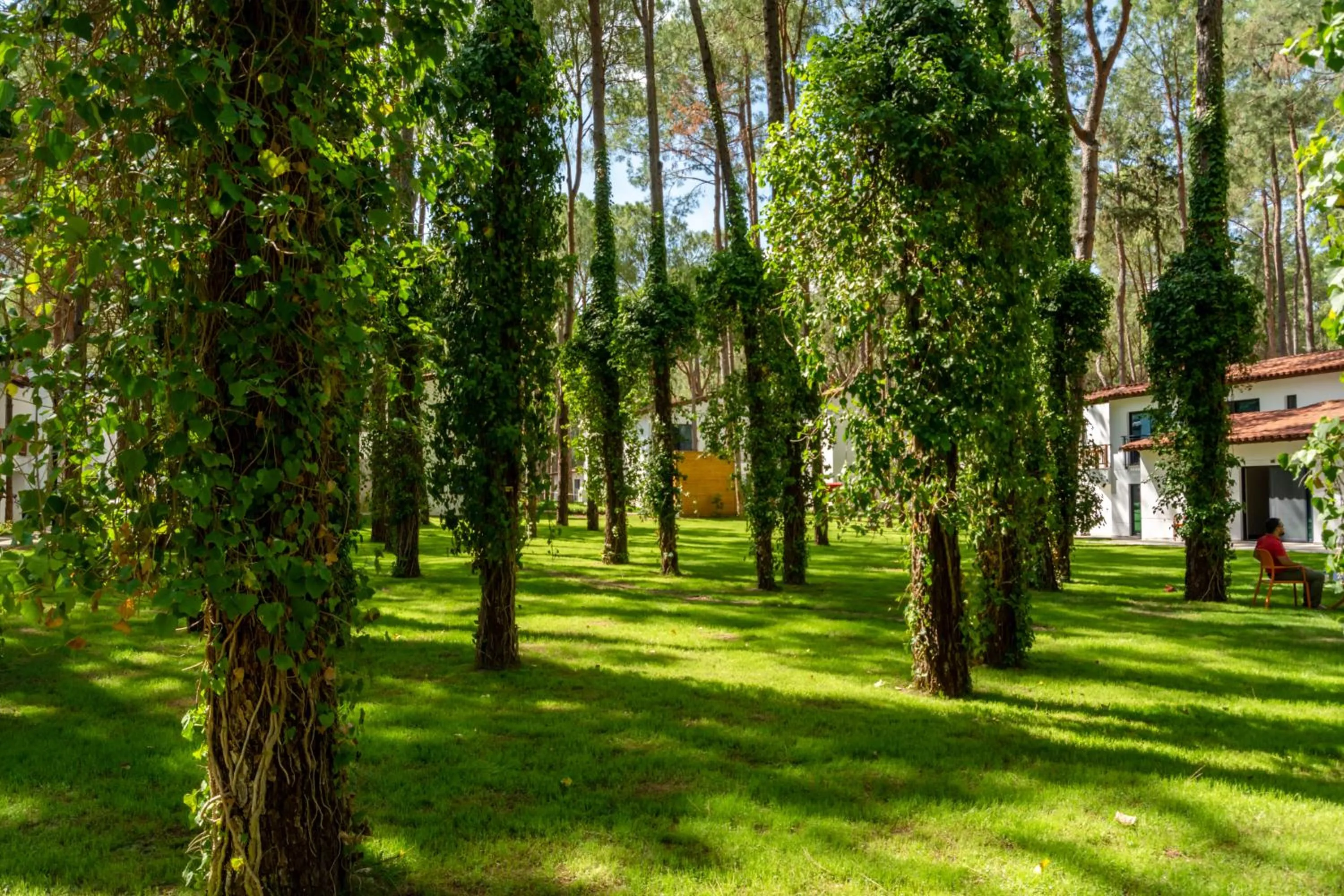 Garden in Baia Salima Kemer