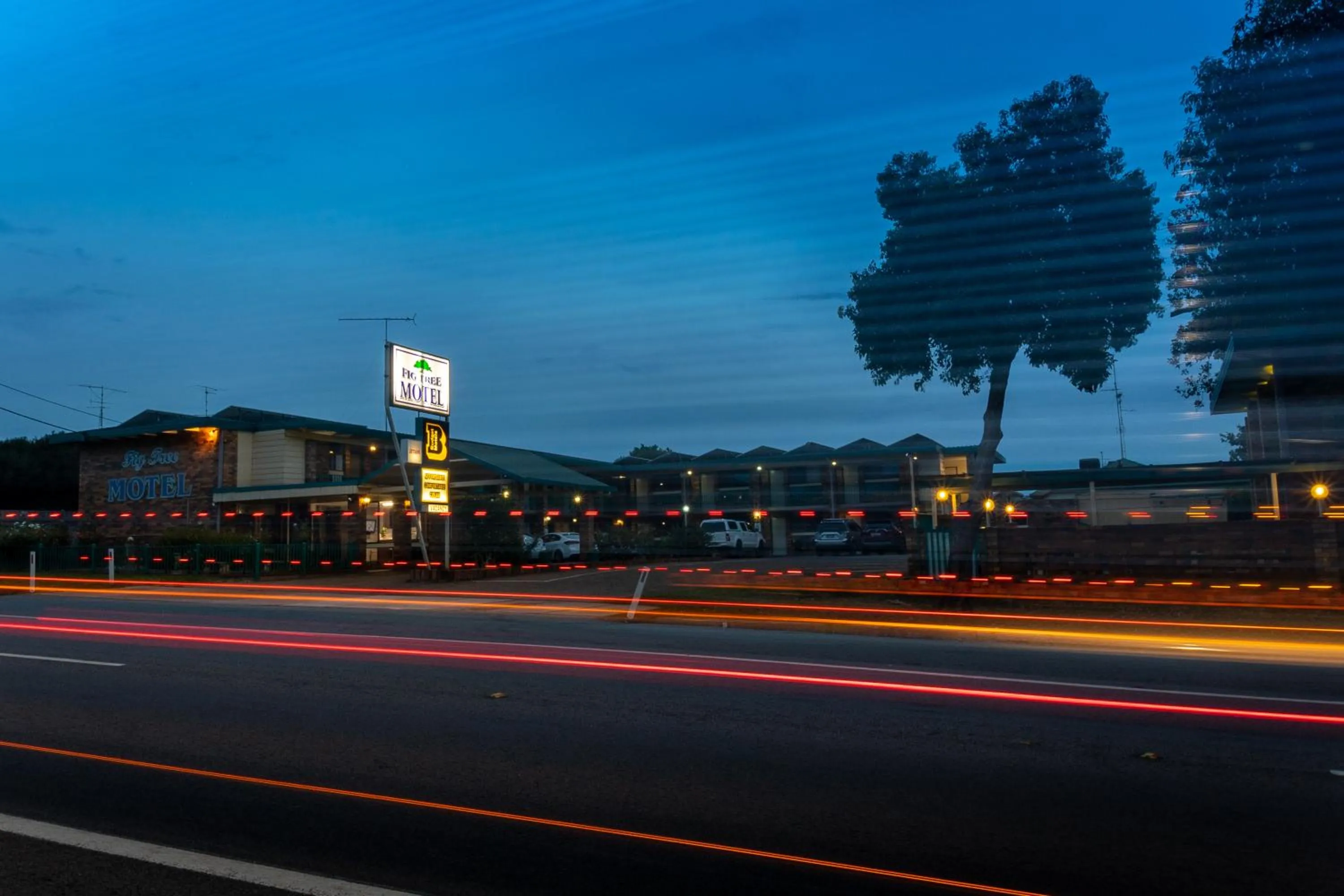 Fig Tree Motel