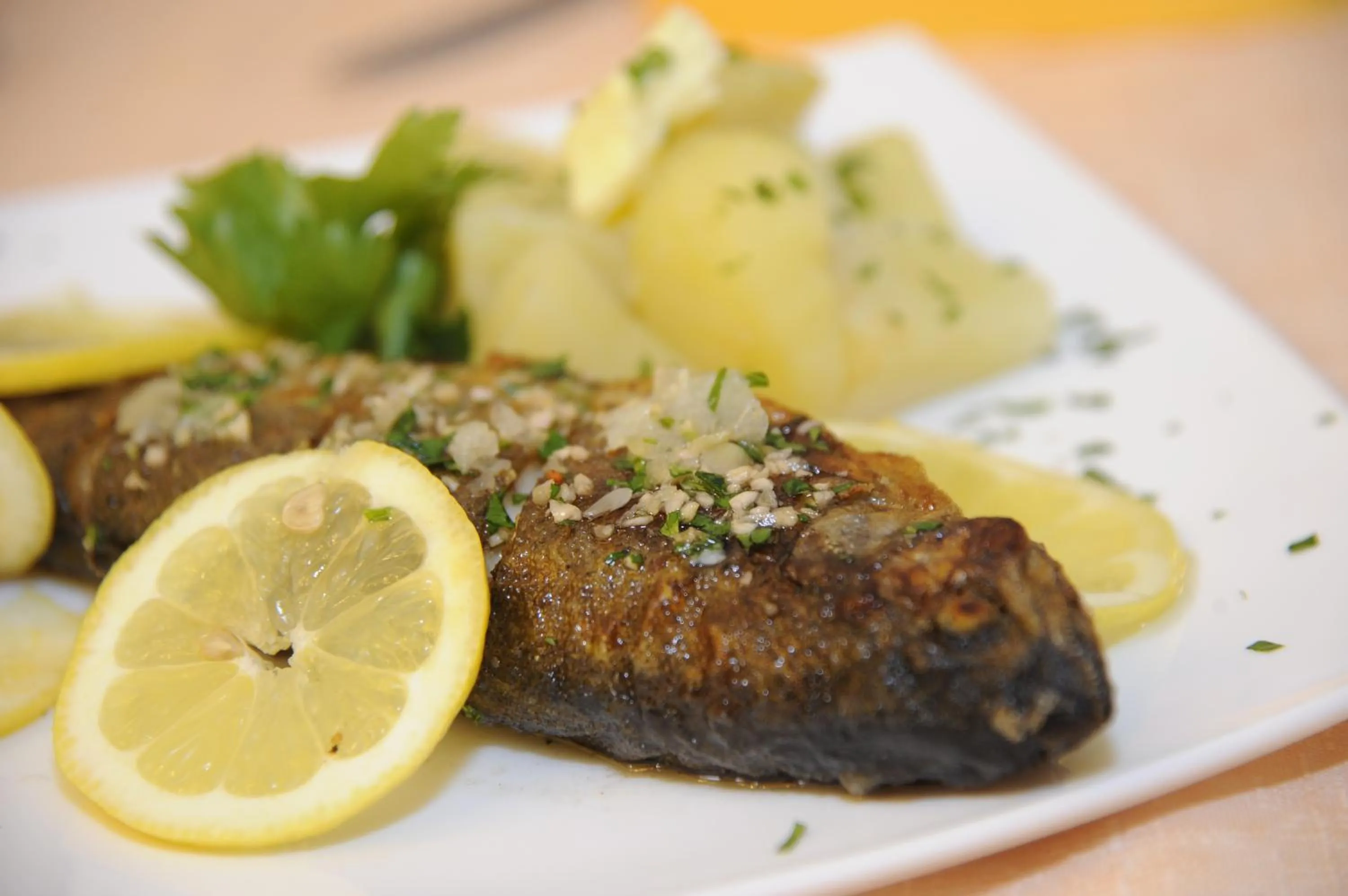 Food and drinks in Guesthouse Stari Mayr