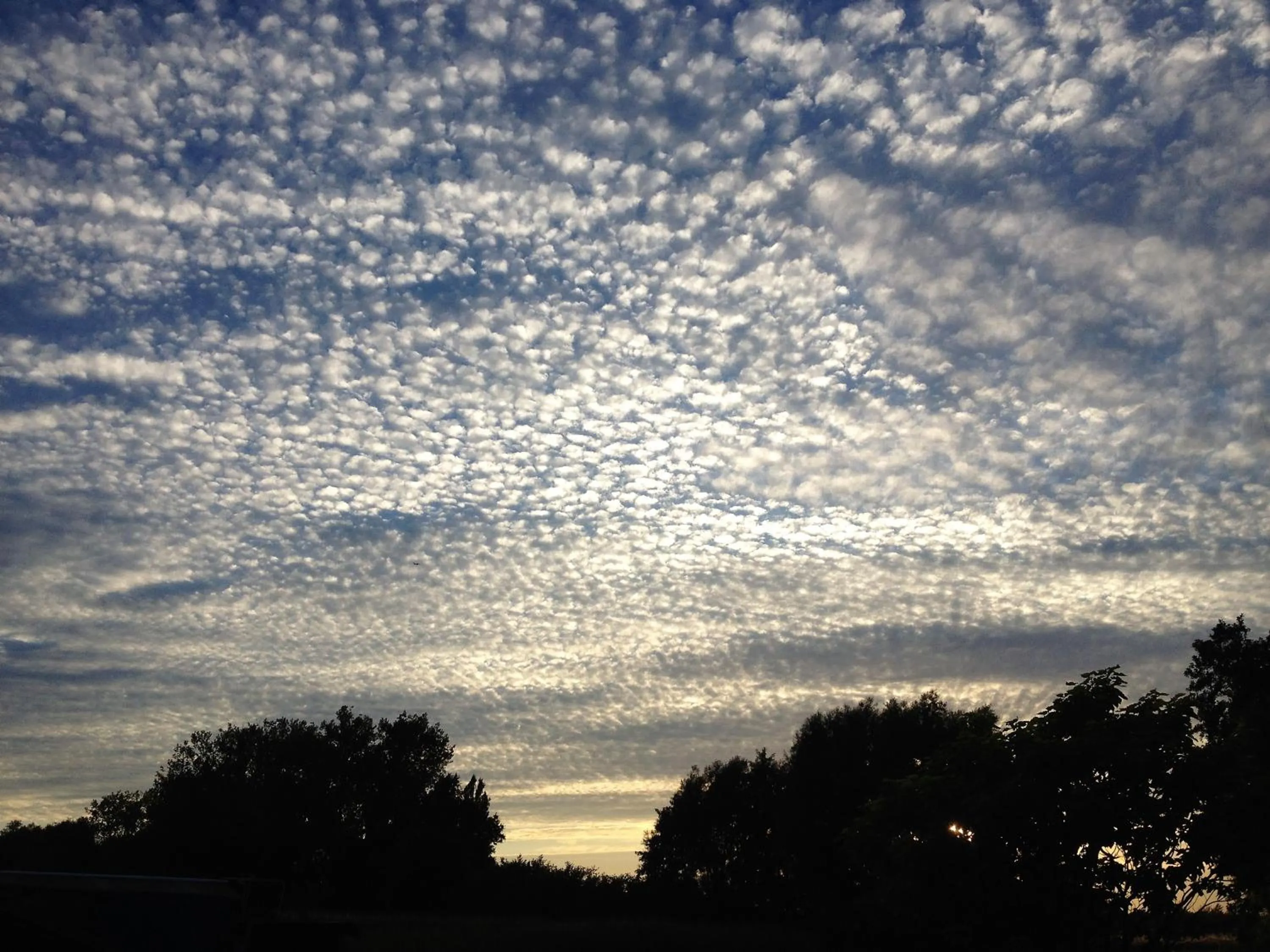 Natural landscape in akemi b&b