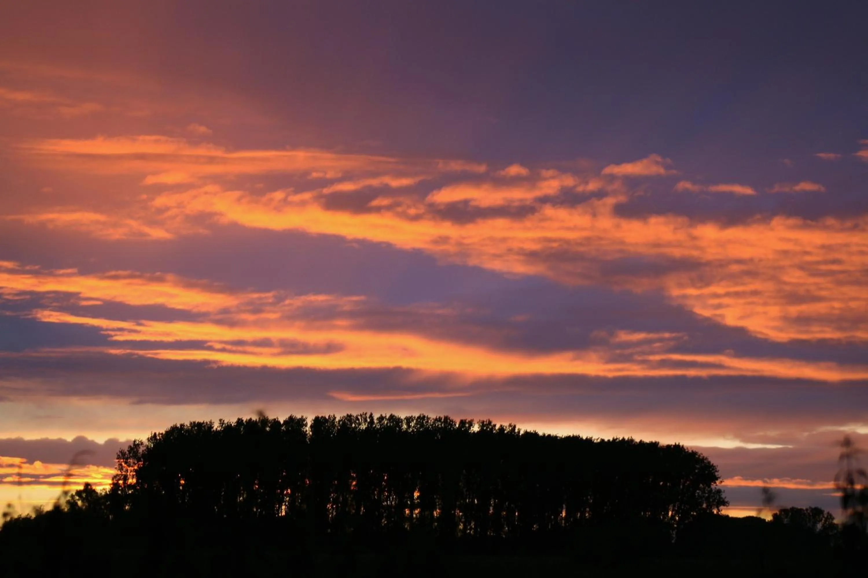 Natural landscape in akemi b&b