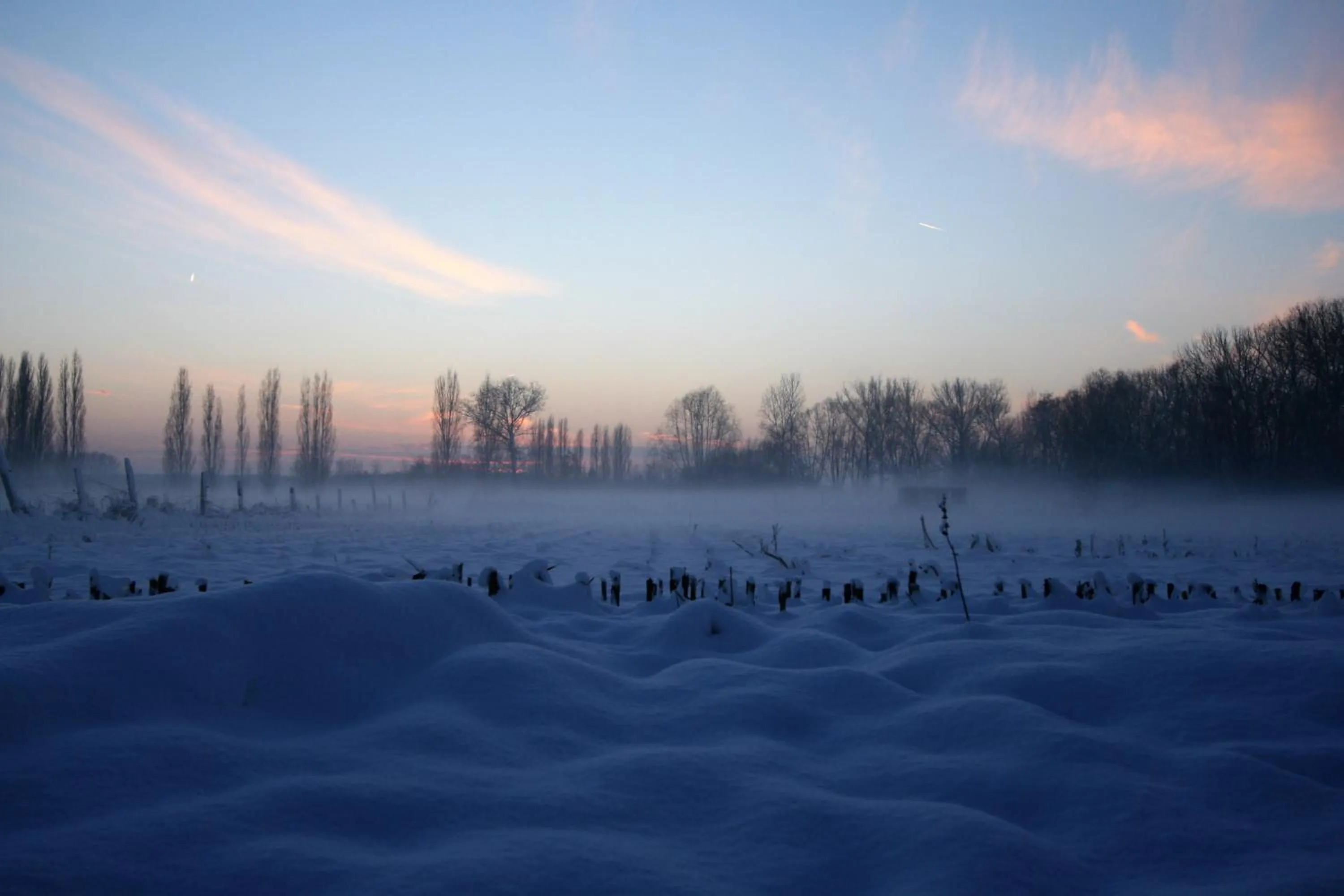 Natural landscape in akemi b&b