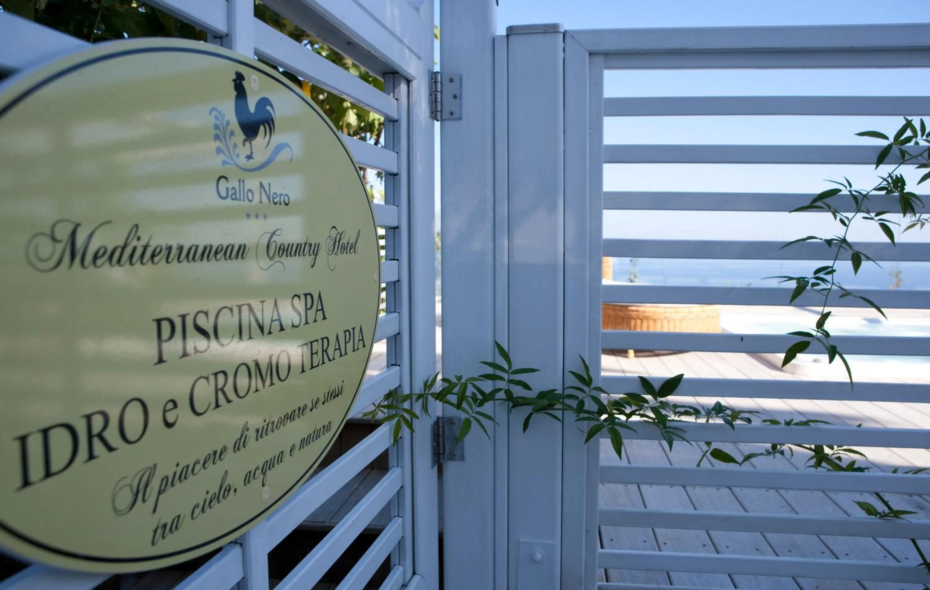 Other in Hotel Gallo Nero