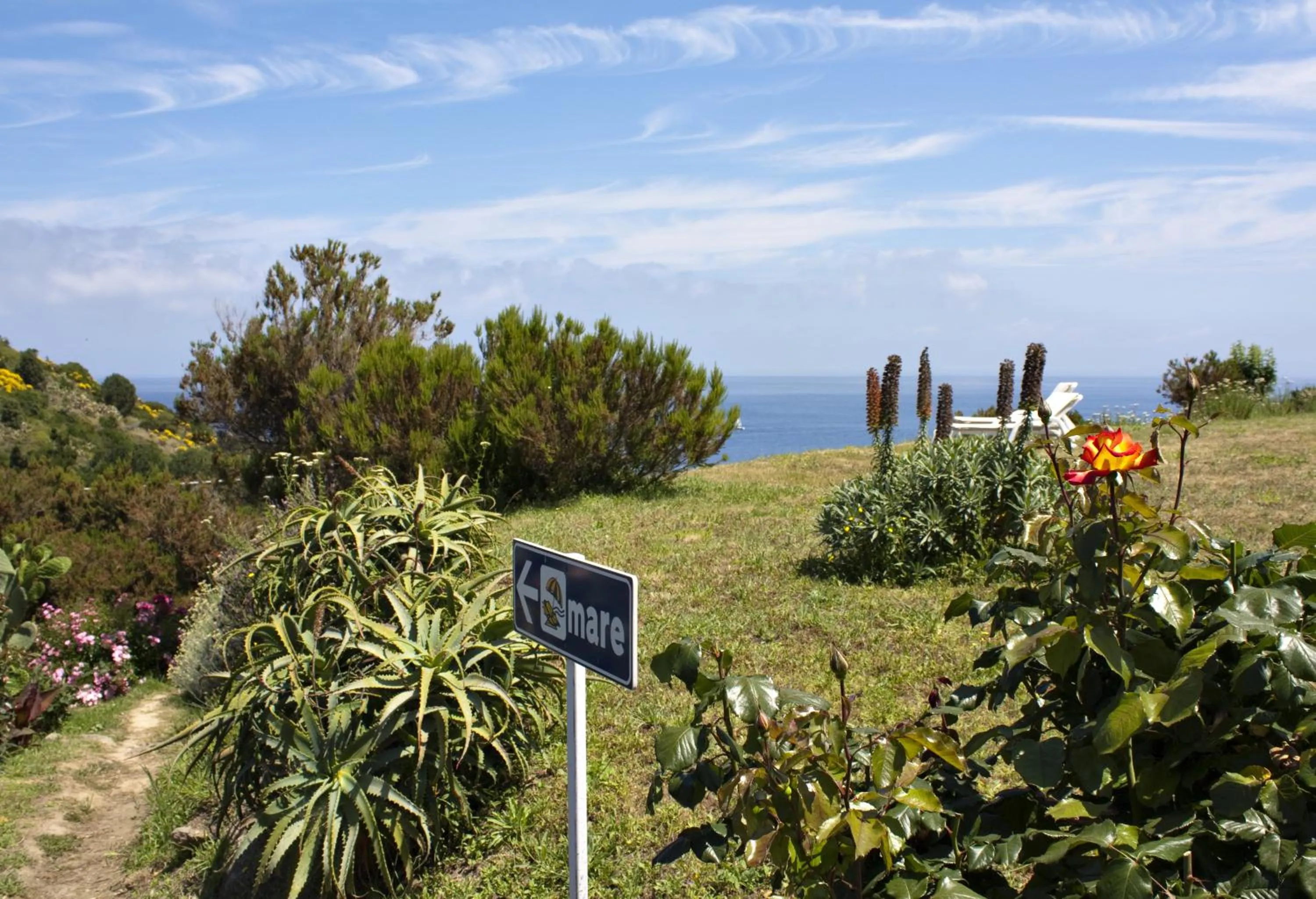 Day in Hotel Gallo Nero