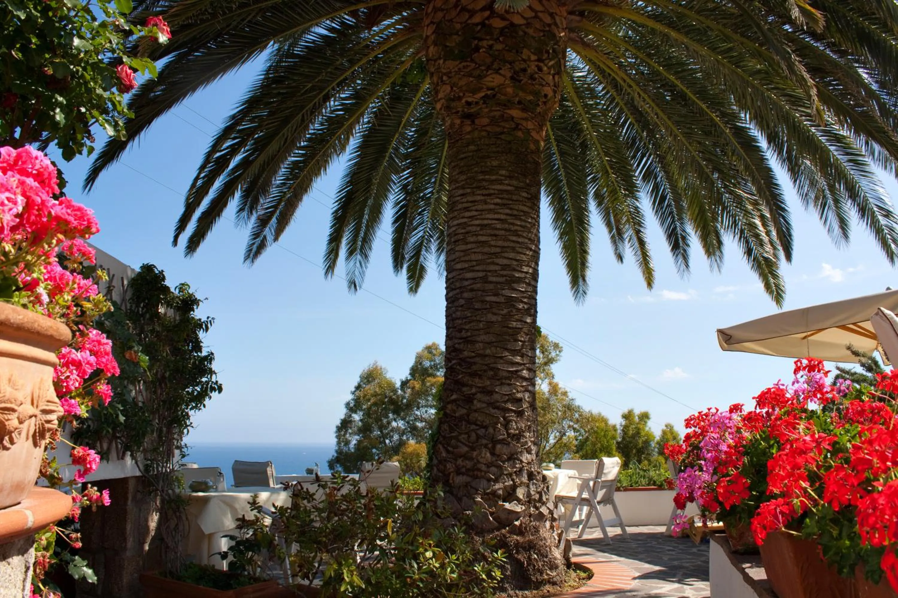 Balcony/Terrace in Hotel Gallo Nero