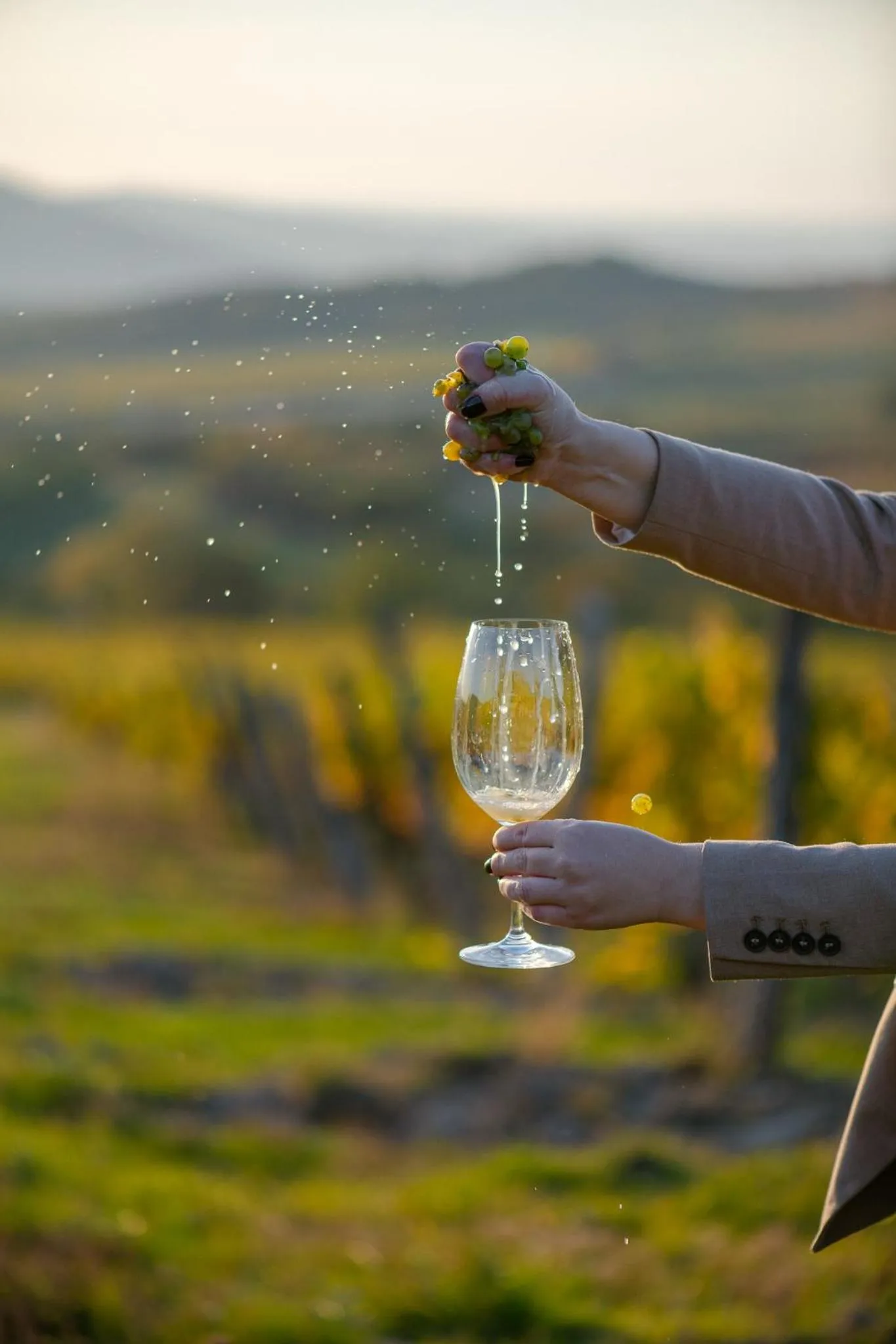 Day in Barka Galéria Hotel és Étterem