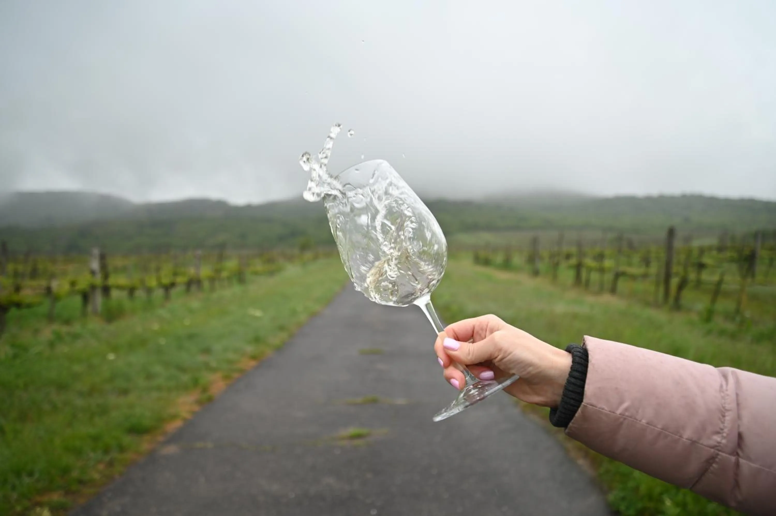 Balcony/Terrace in Oroszlános Borhotel
