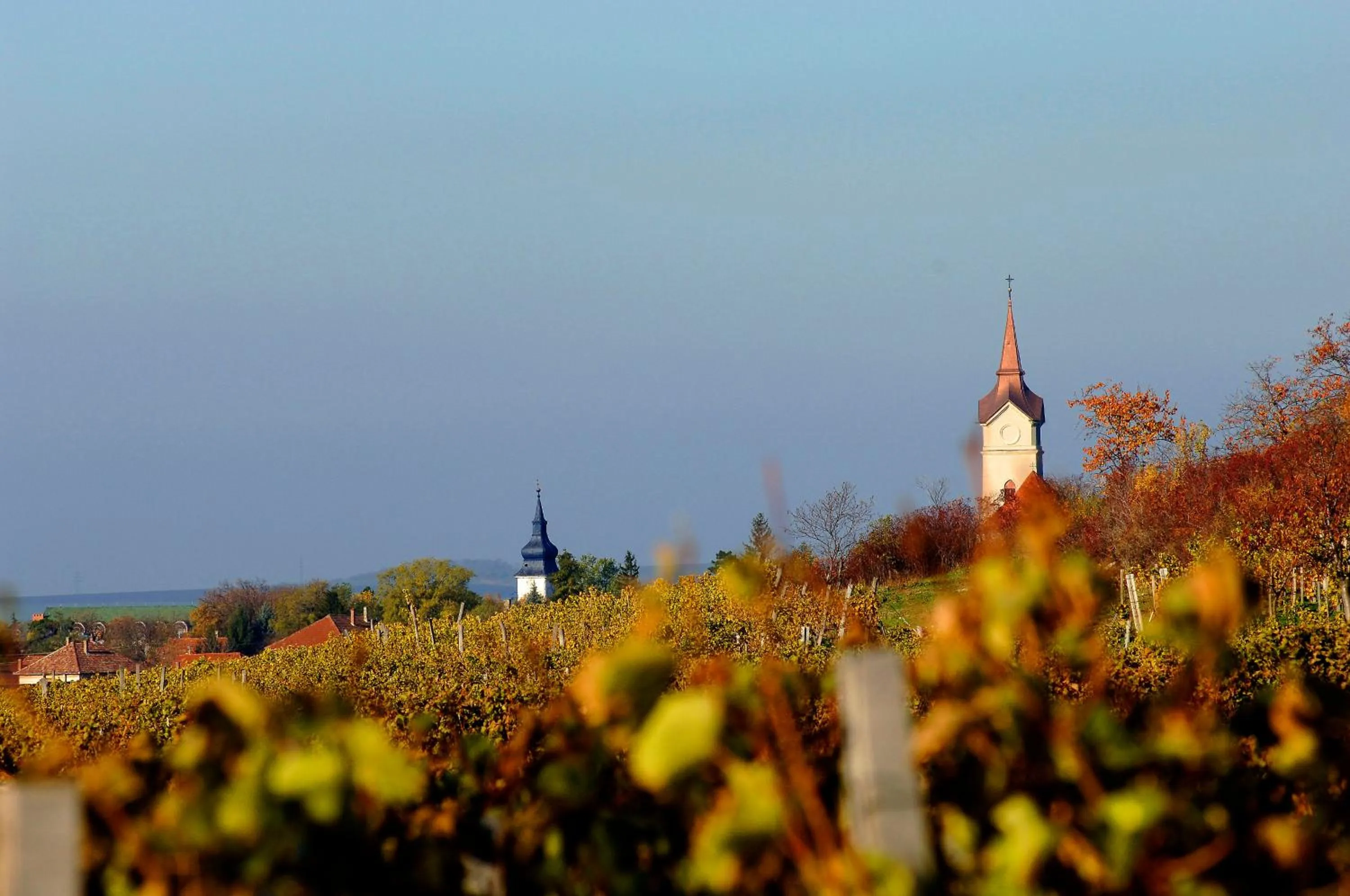 Property building in Oroszlános Borhotel