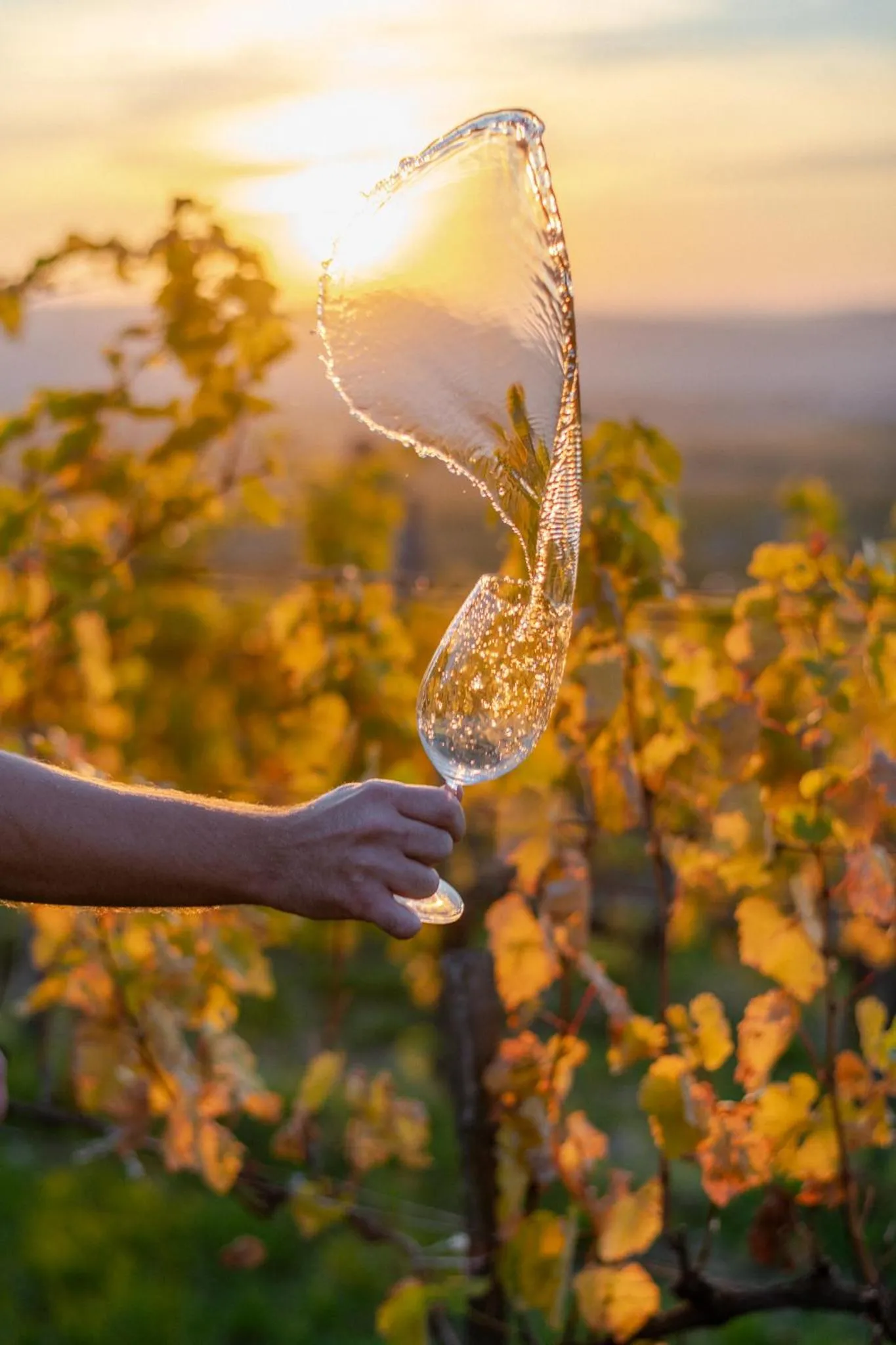 Day in Barka Galéria Hotel és Étterem