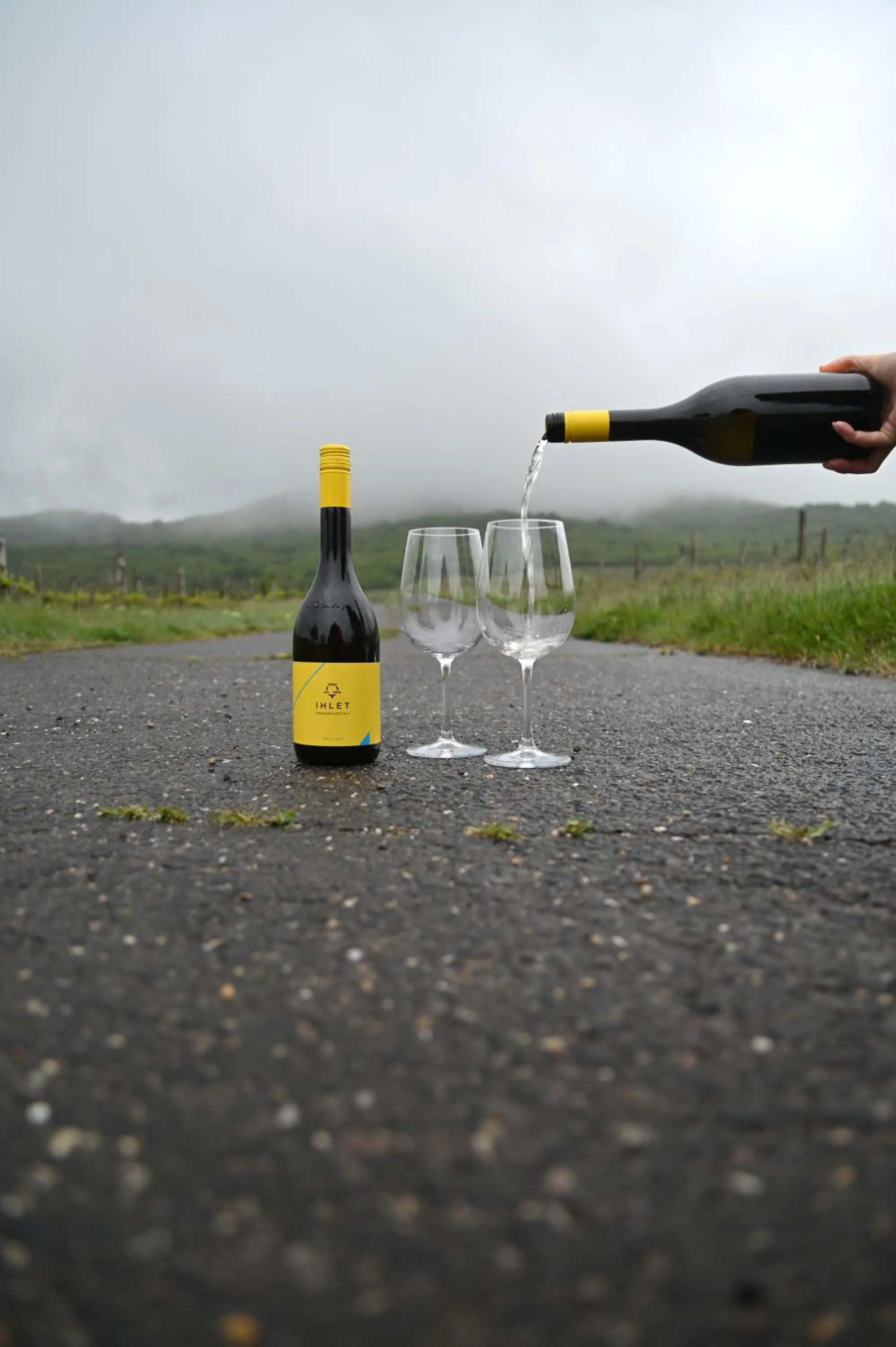 Alcoholic drinks in Oroszlános Borhotel