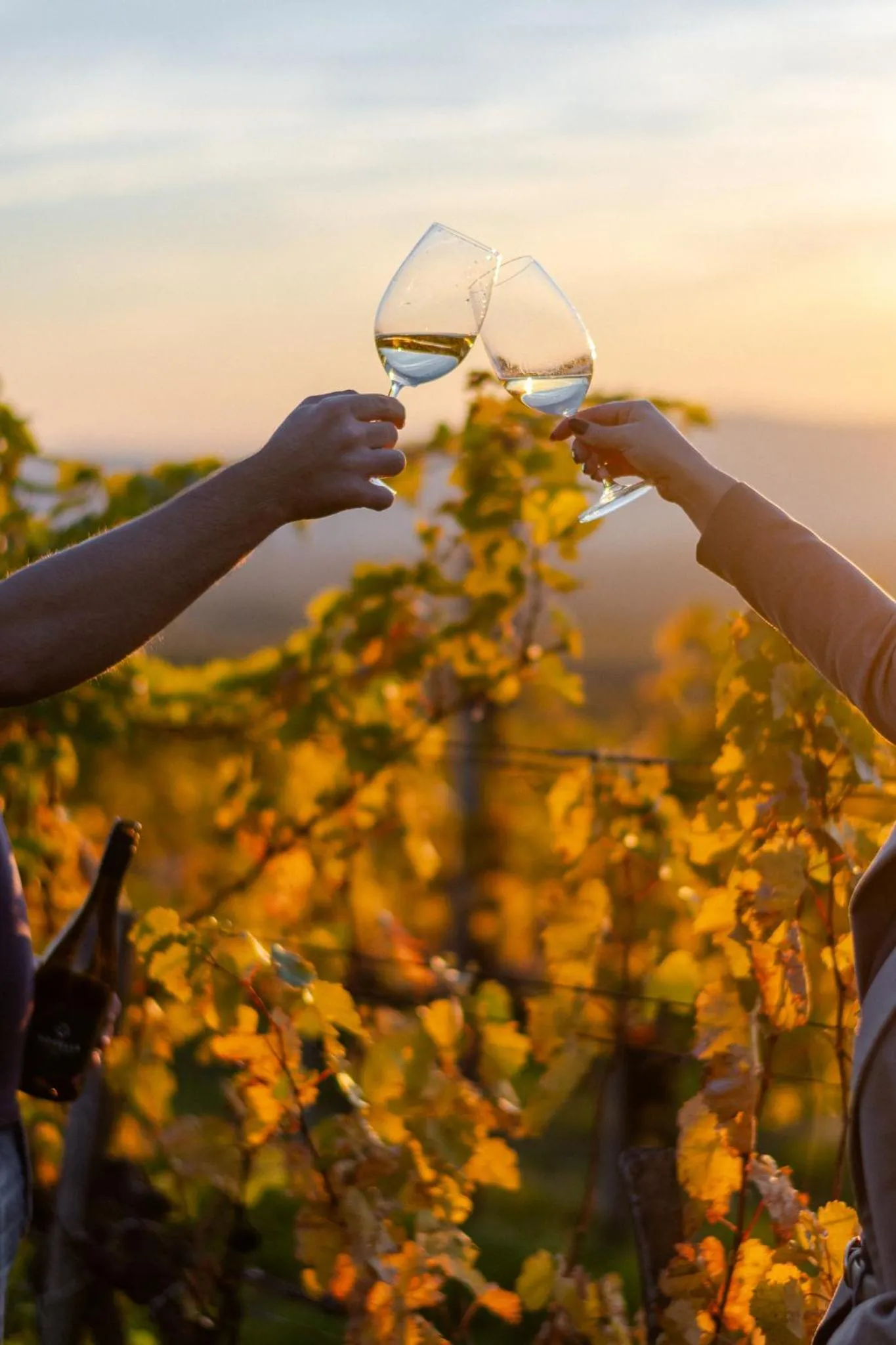 Day in Barka Galéria Hotel és Étterem