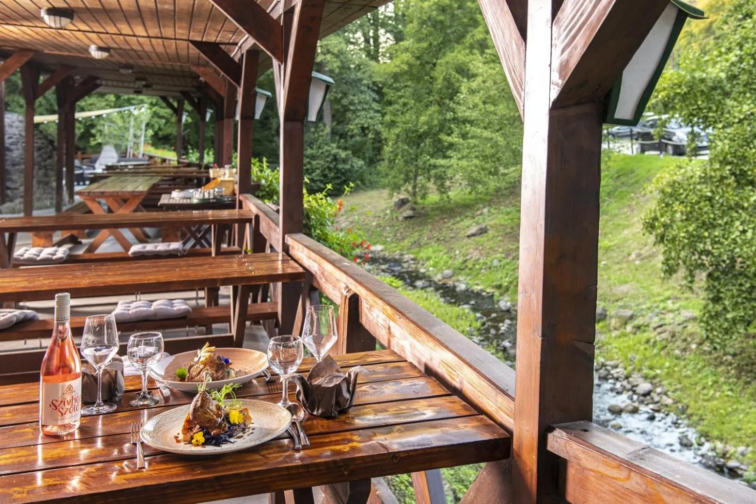 Restaurant/places to eat in Patak Park Hotel Visegrád