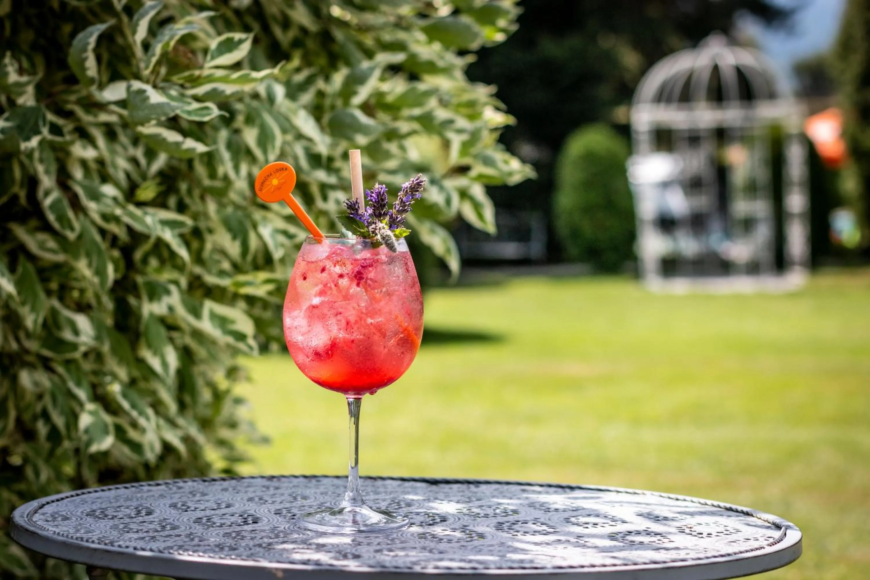 Drinks in Hotel SLUNEČNÁ LOUKA