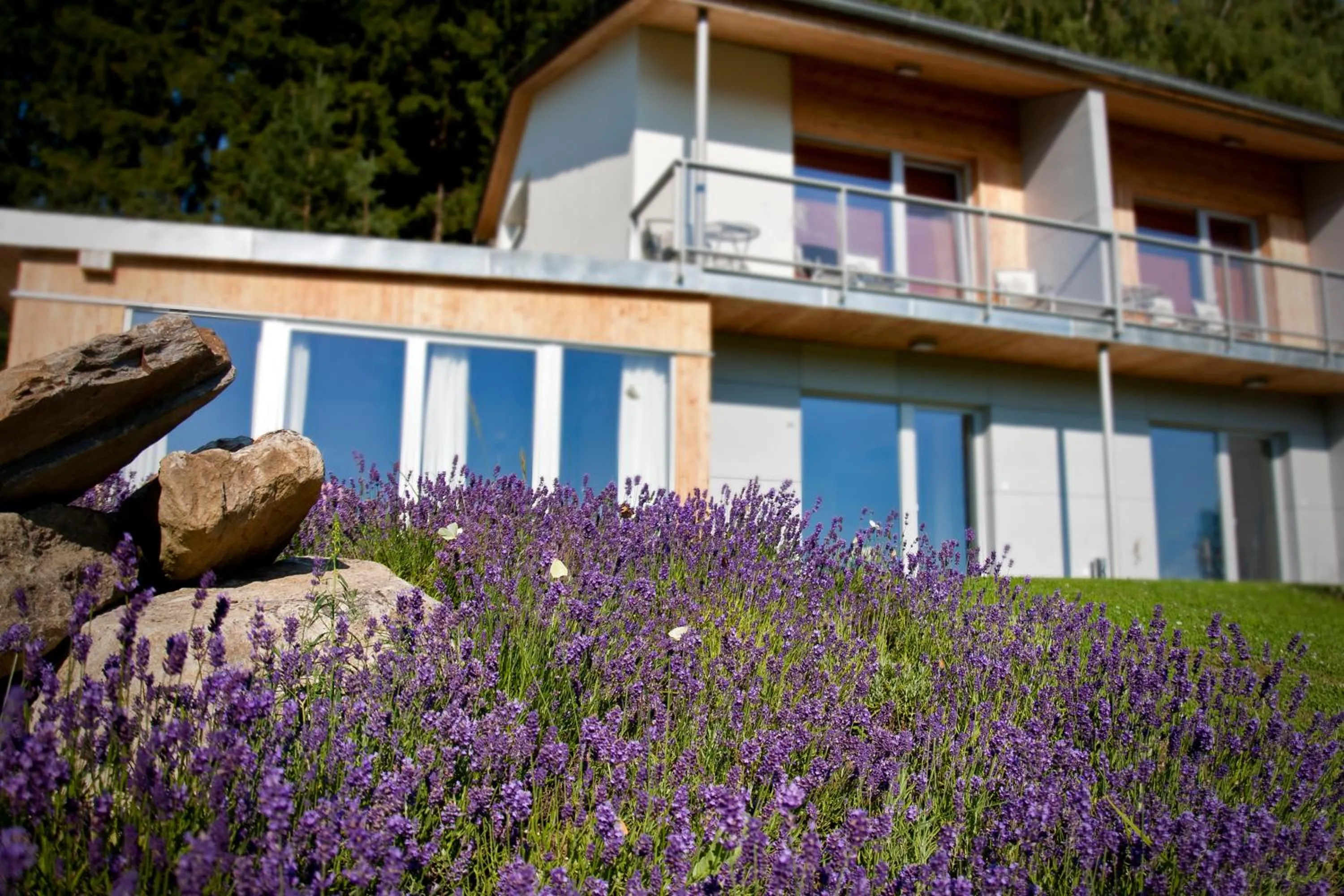 Garden in Hotel SLUNEČNÁ LOUKA
