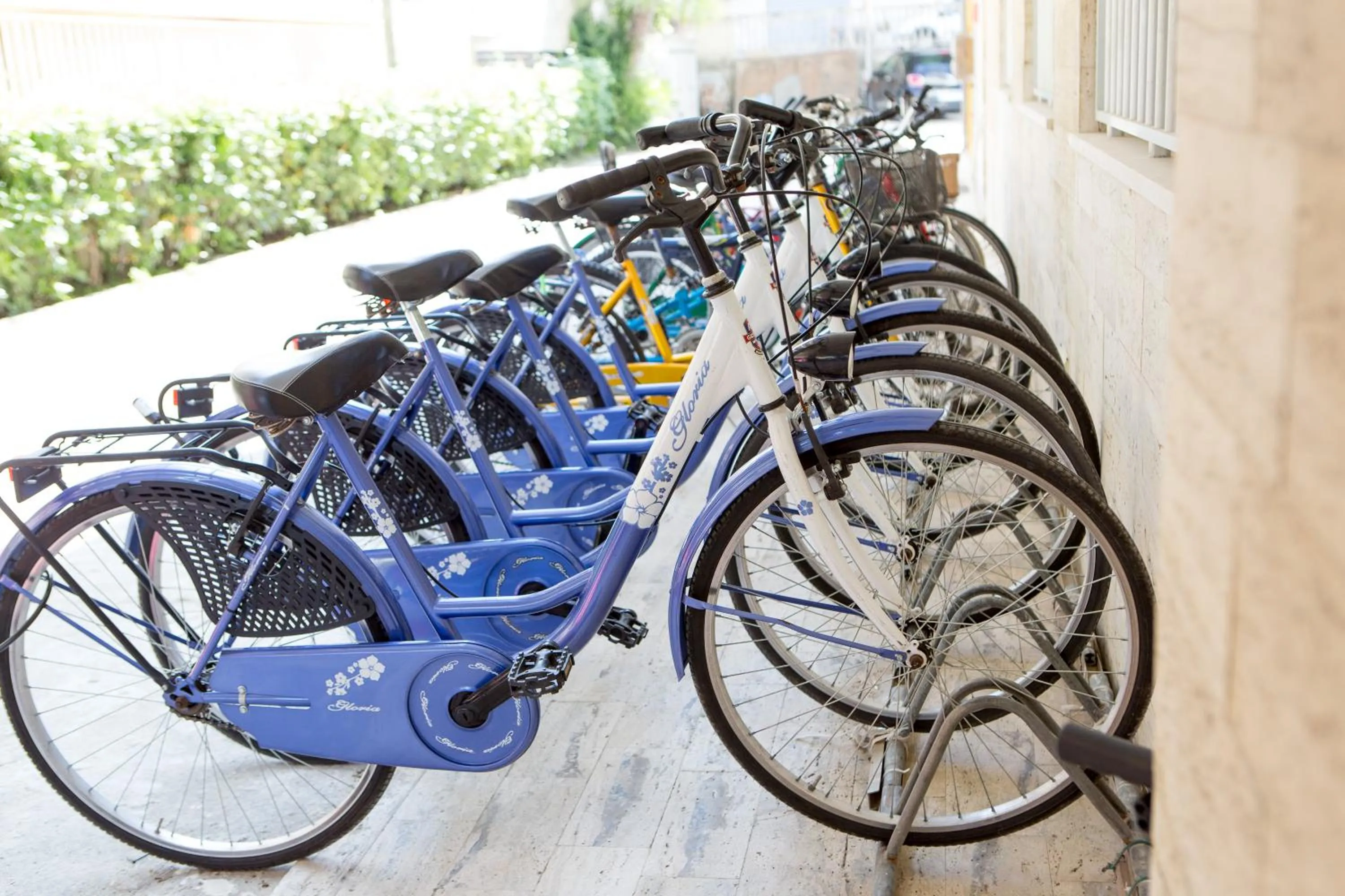 Activities in Hotel Ambassador