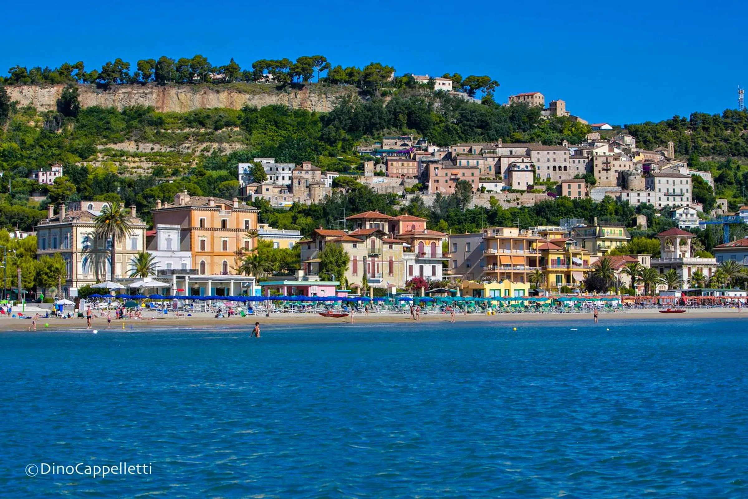 Natural landscape in Hotel Ambassador