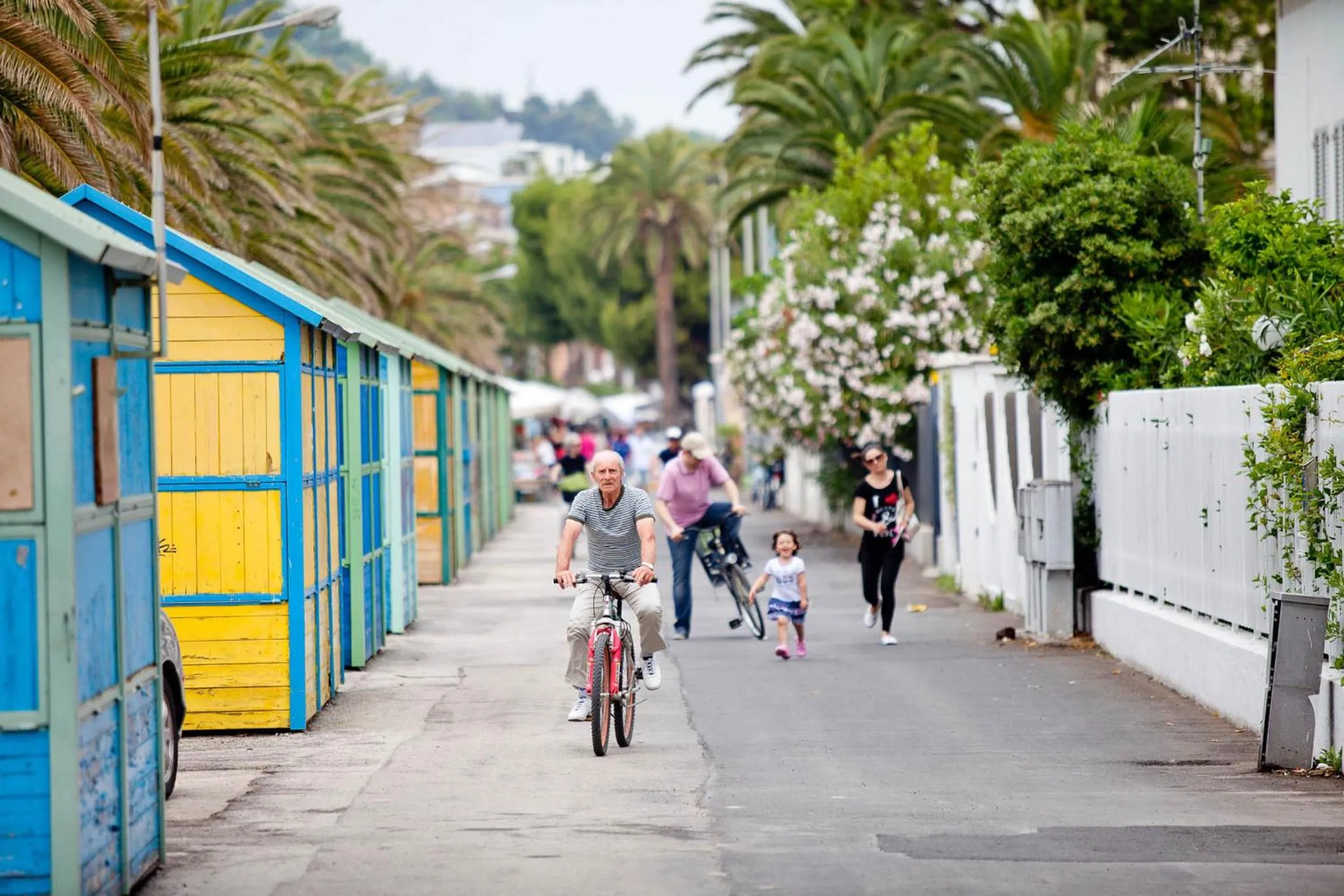 Area and facilities in Hotel Ambassador