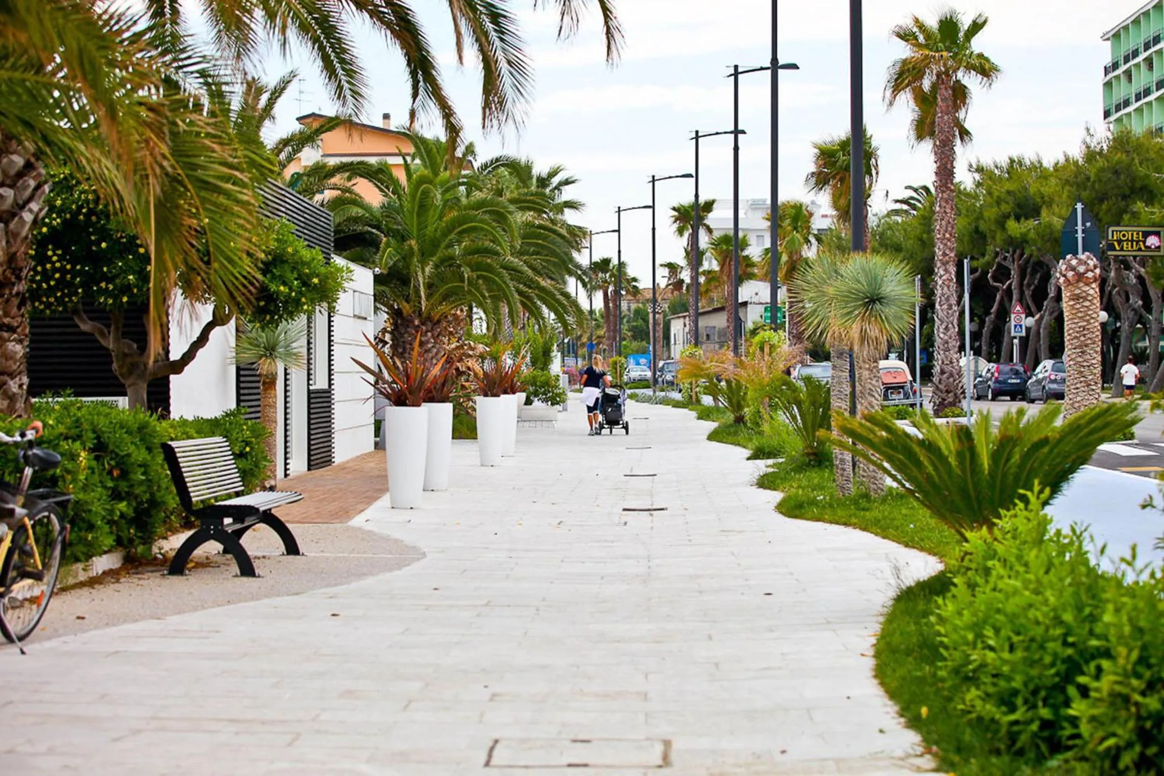 Area and facilities in Hotel Ambassador