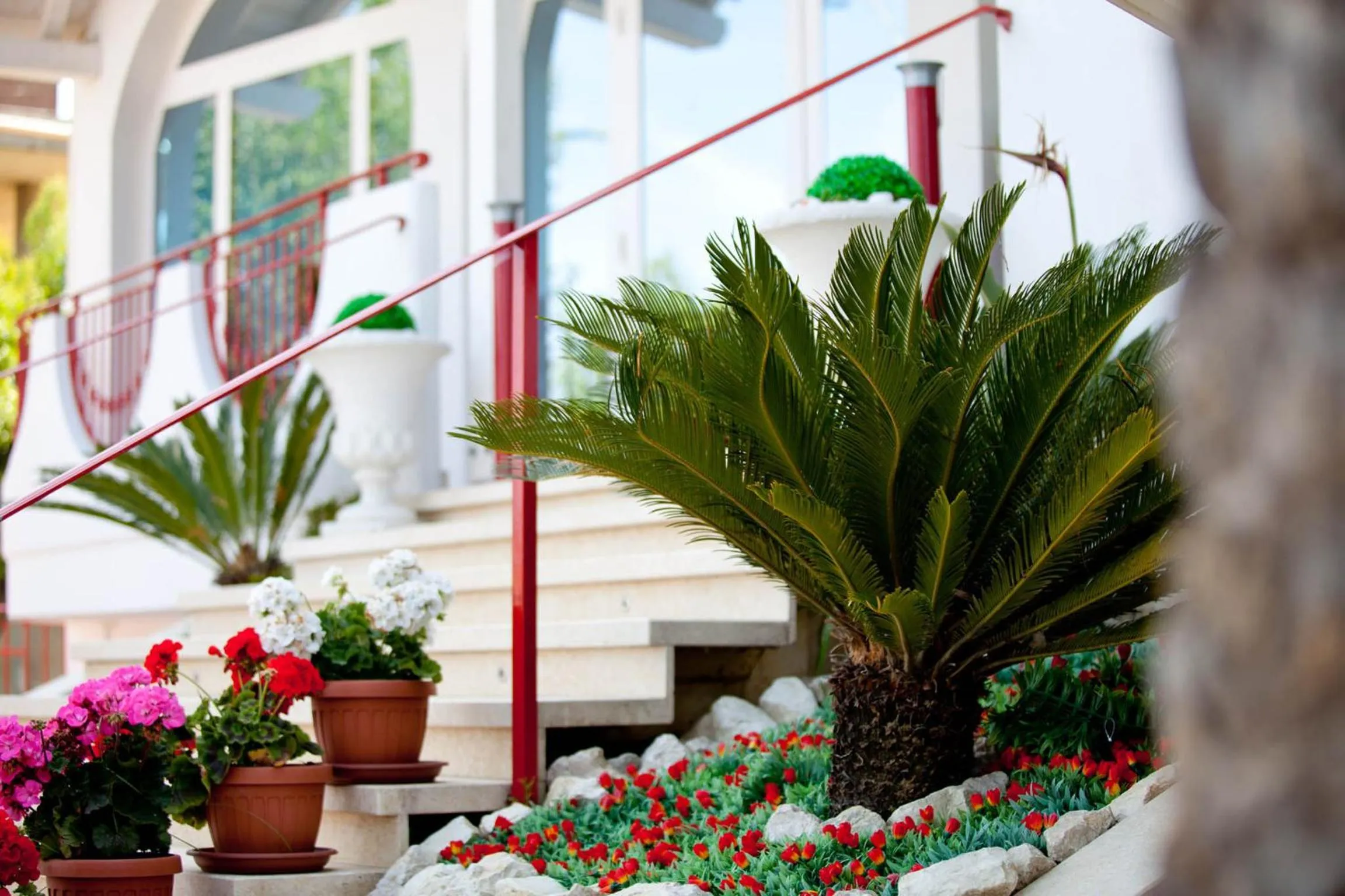 Facade/entrance in Hotel Ambassador