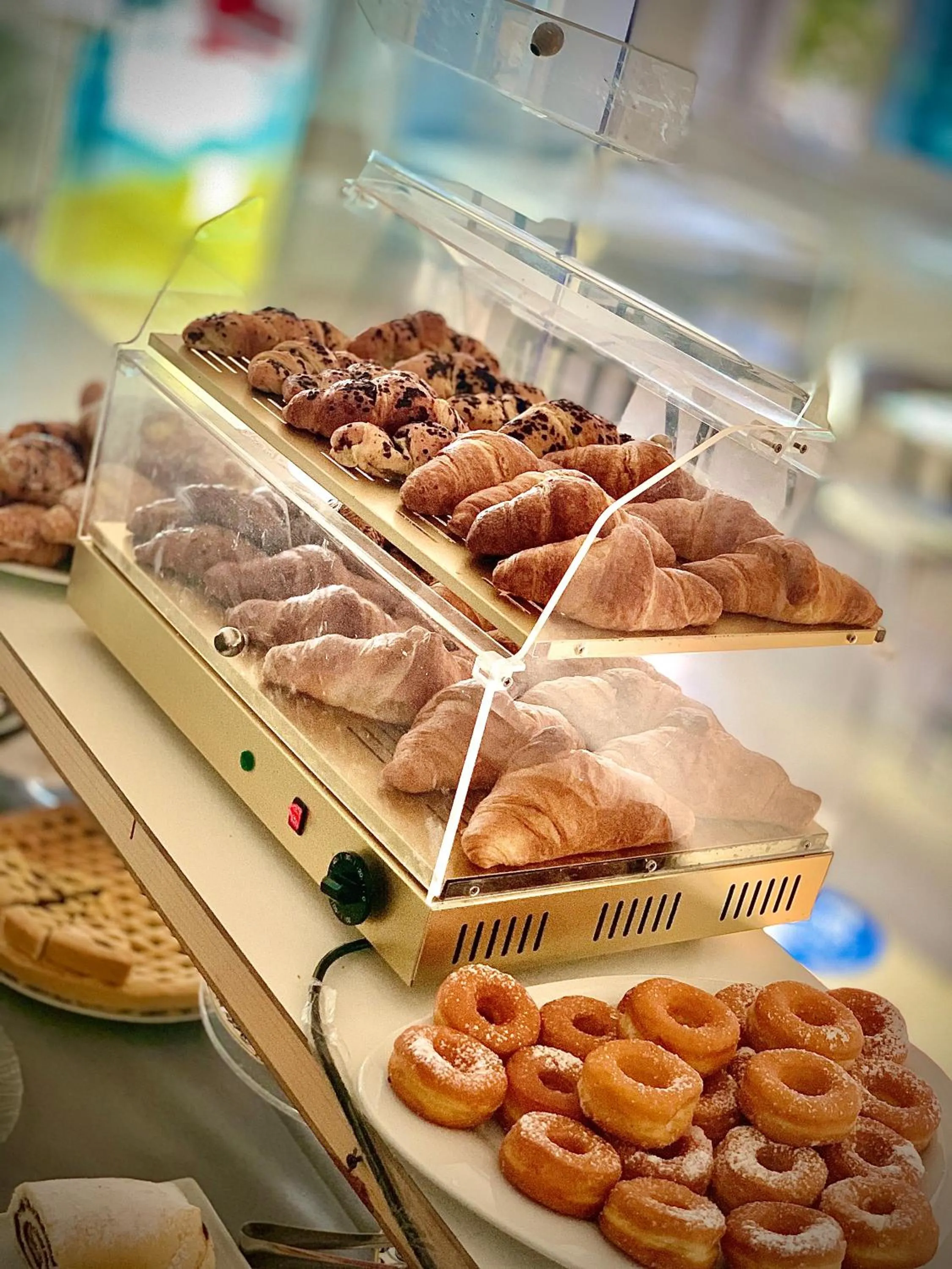 Food in Hotel Ambassador