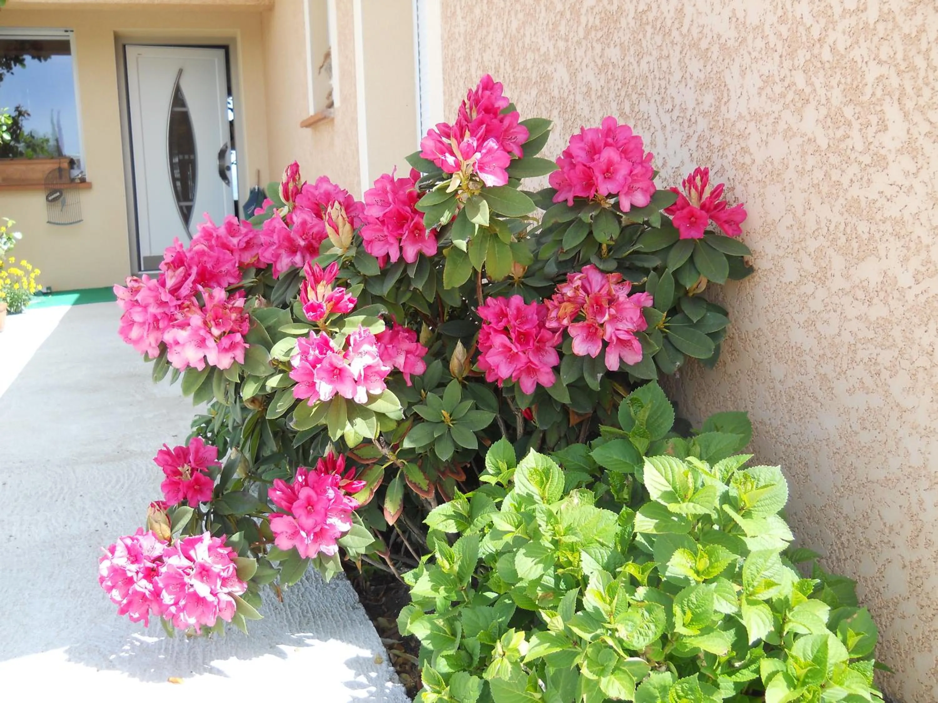 Facade/entrance in Le Clos des Malézolles