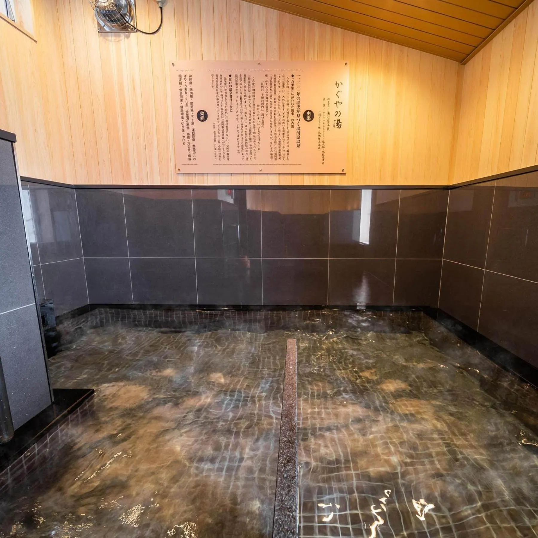 Super Hotel Fuji Inter