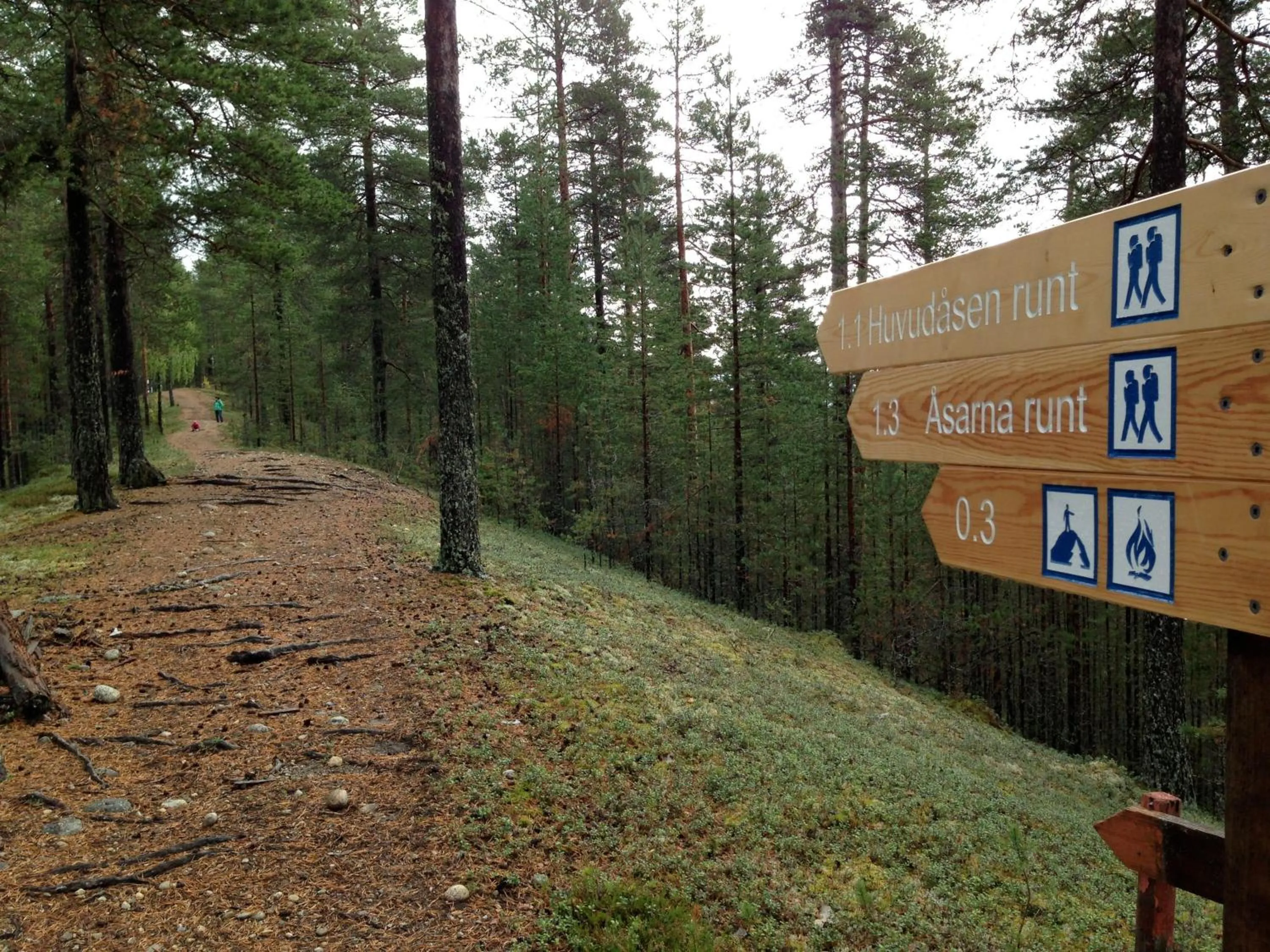 Summer in Hotell Vindelngallerian