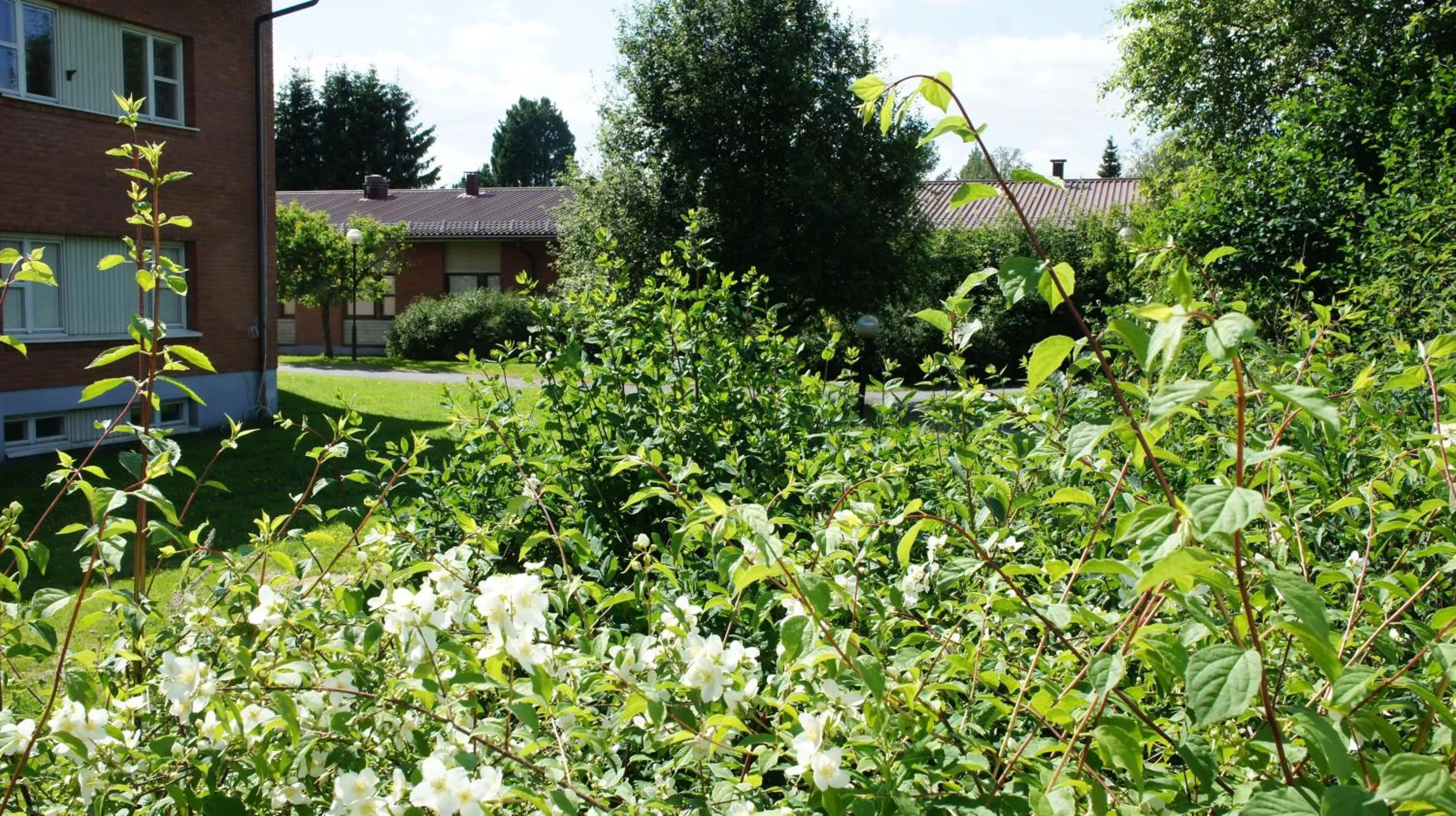 Garden in Hotell Vindelngallerian