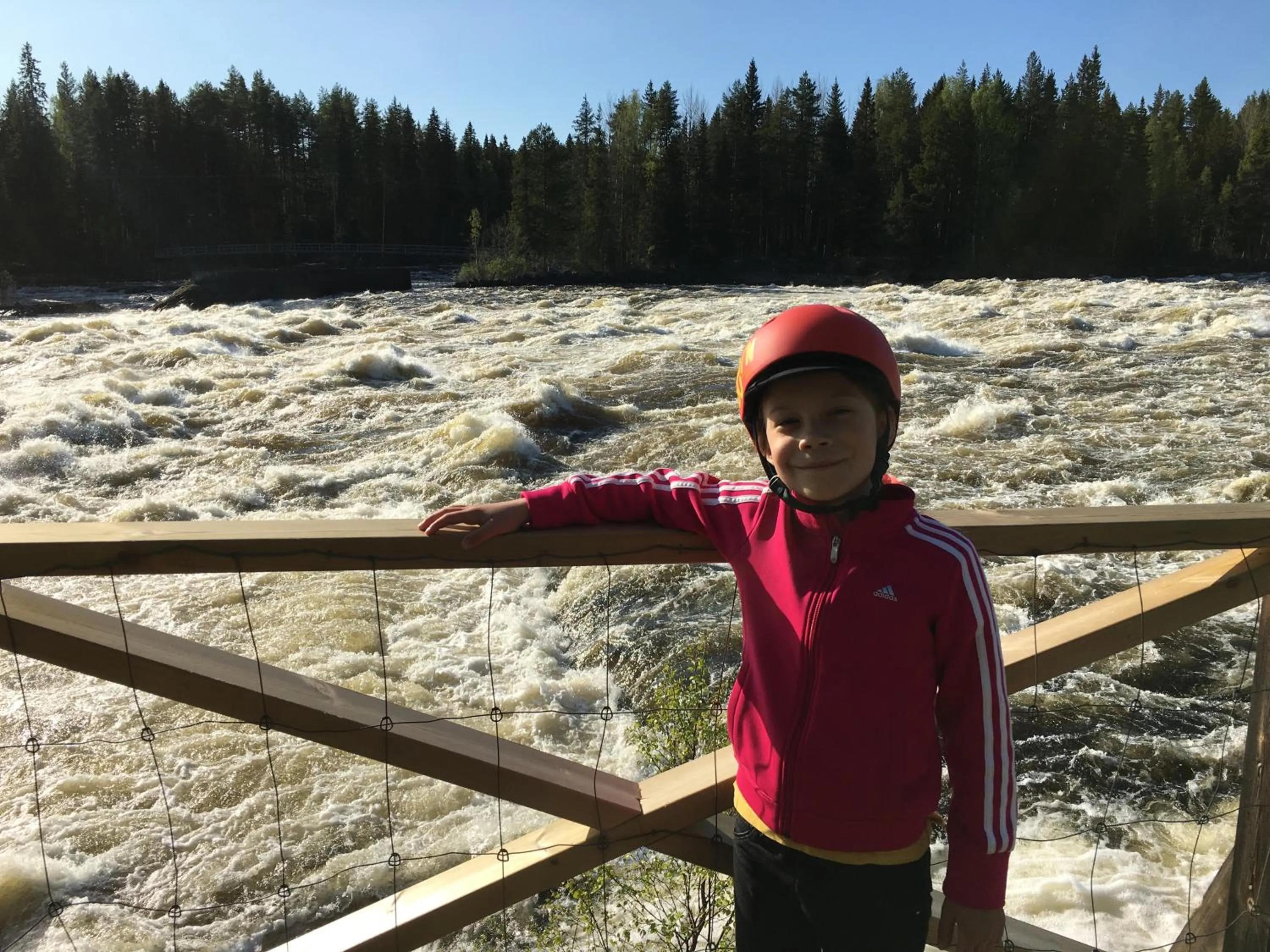 Nearby landmark in Hotell Vindelngallerian