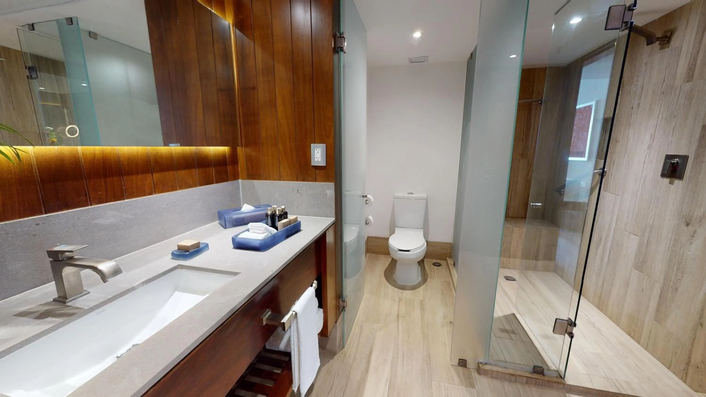 Royal Deluxe Ocean Front in Grand Park Royal Puerto Vallarta - All Inclusive