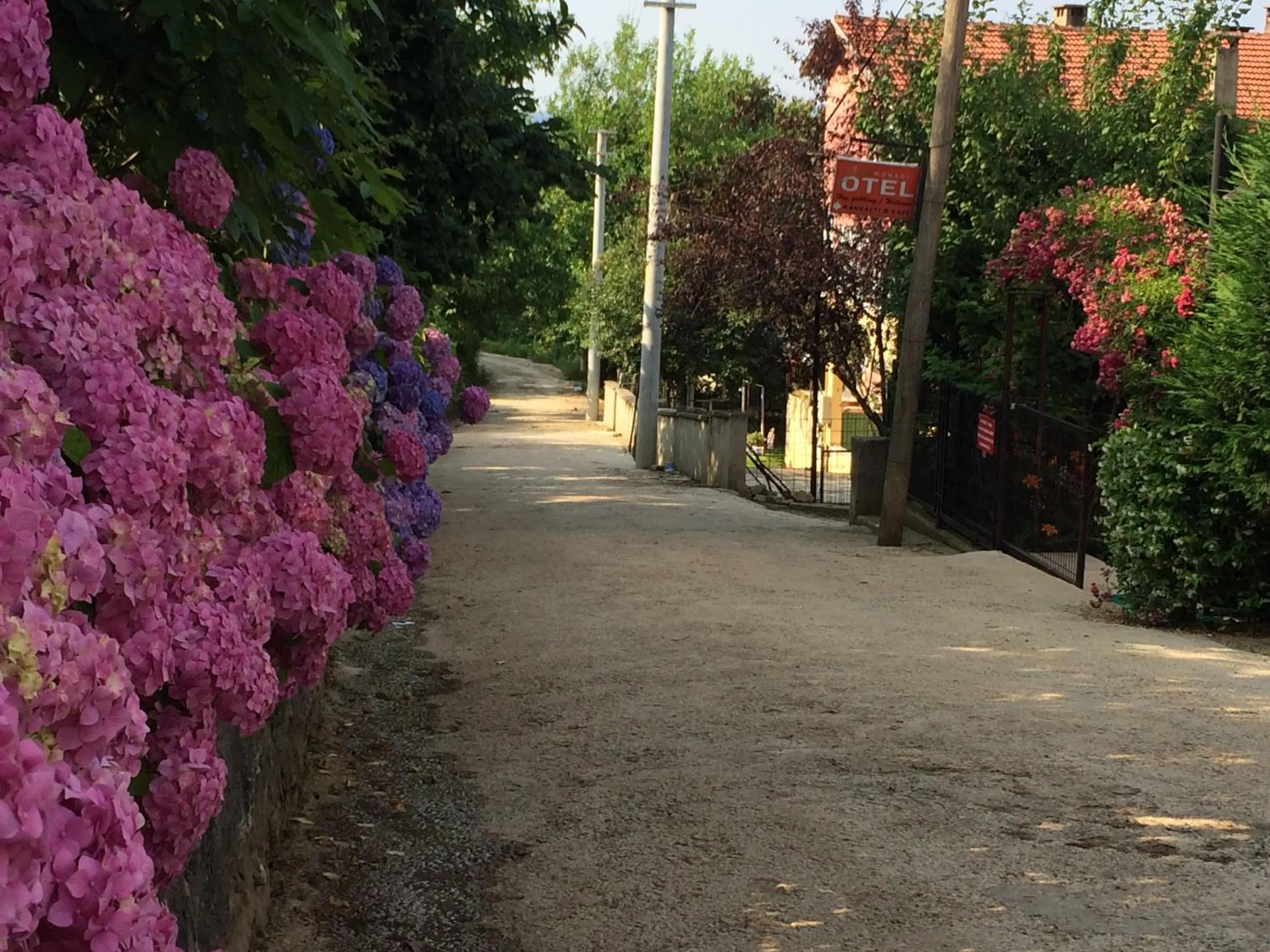 Facade/entrance in Sapanca Dilek Konagi Hotel