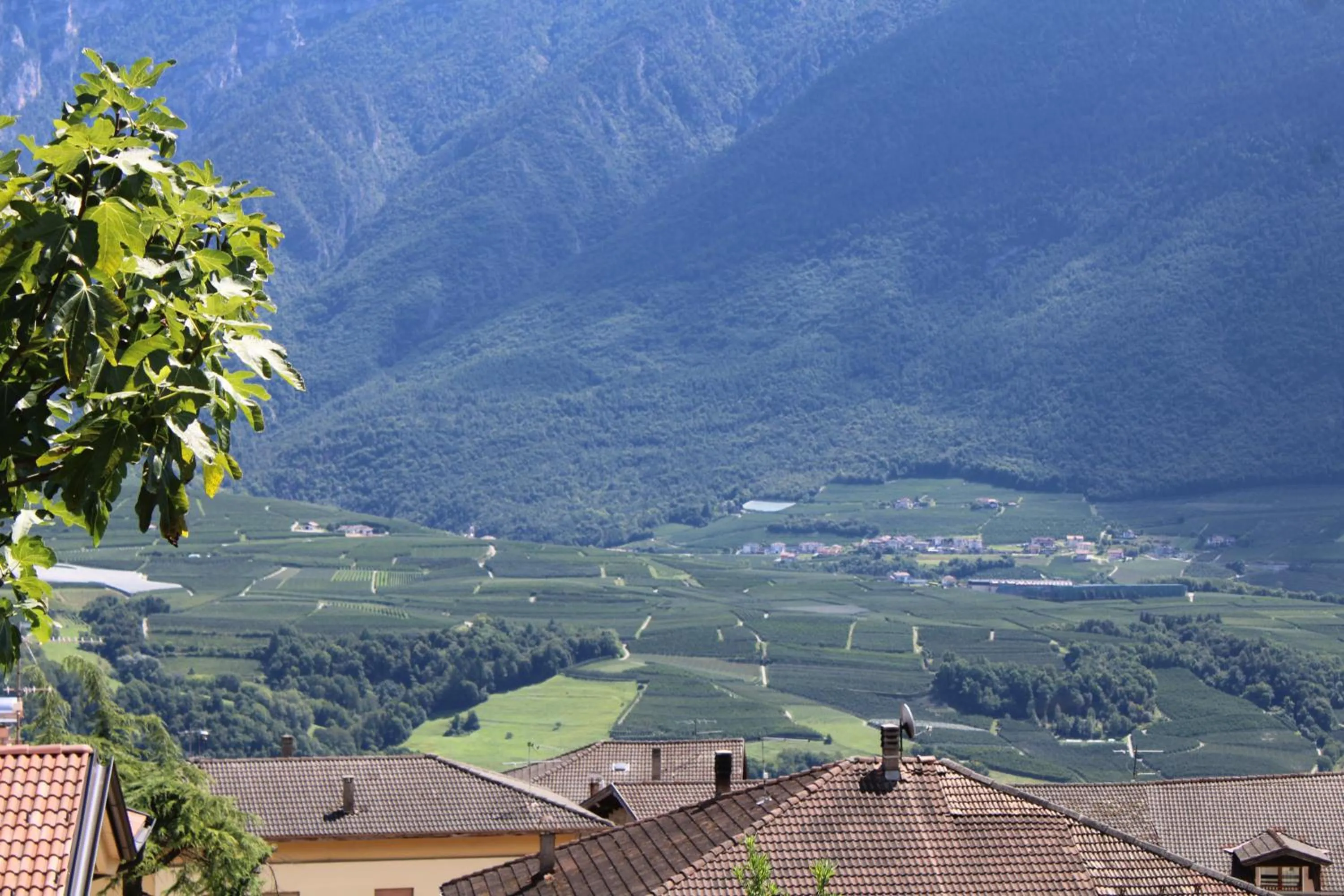 View (from property/room) in B&B Casa Delle Fate