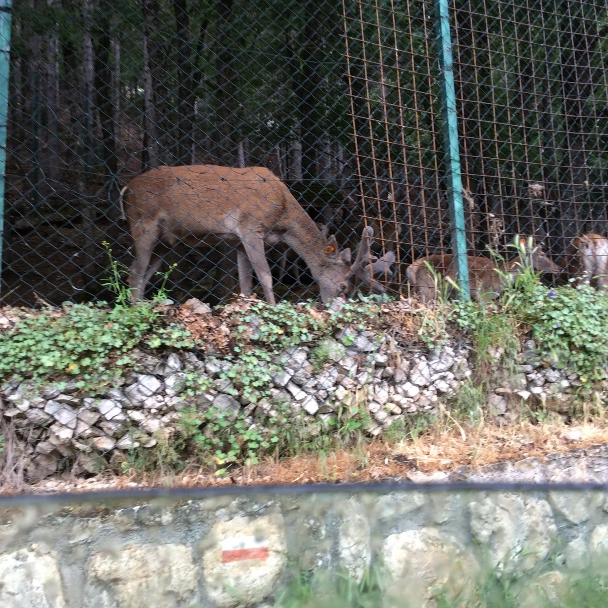 Hotel Il Feudo Dei Pierleoni
