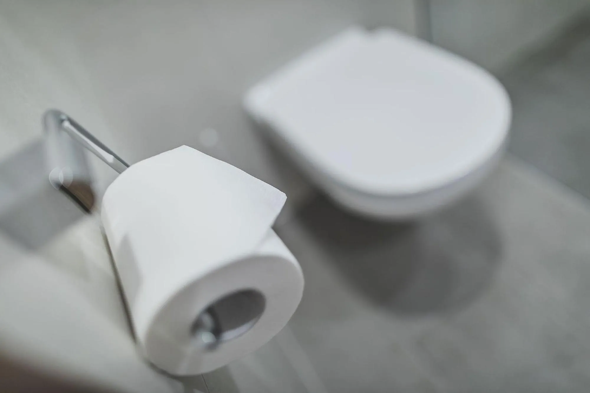 Toilet in Hotel Bergland